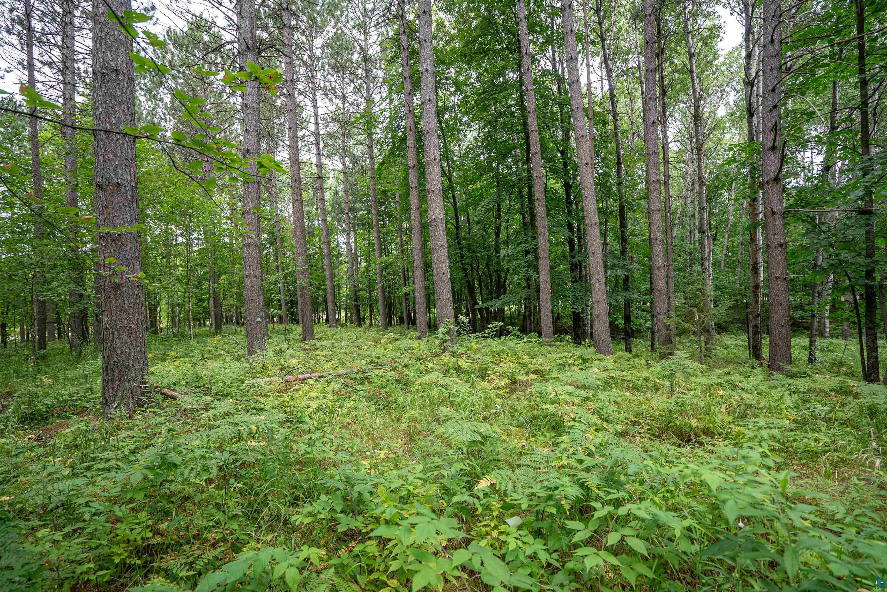 51xx Lindahl Rd, Duluth, MN 55811 Listing Photo  25