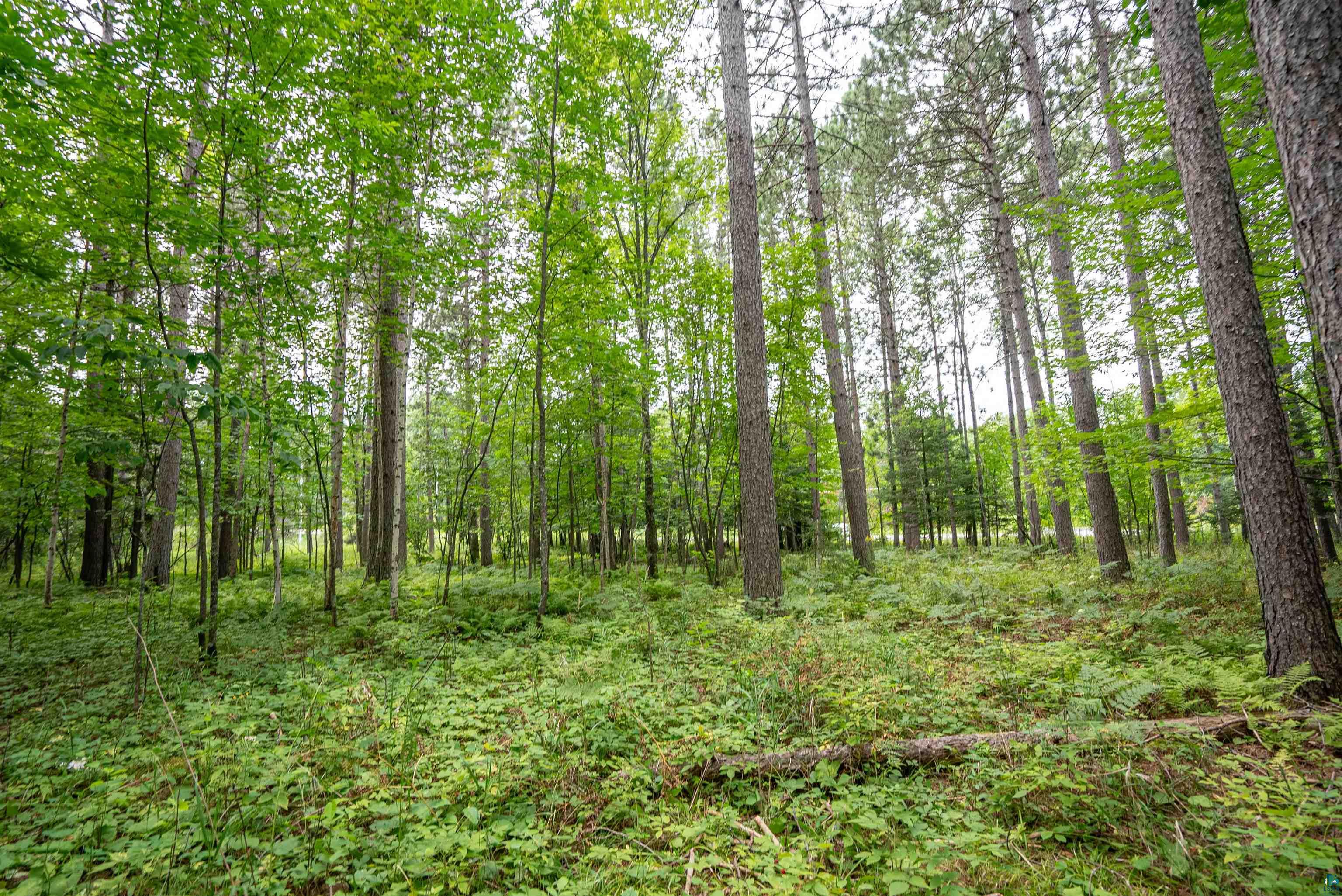 51xx Lindahl Rd, Duluth, MN 55811 Listing Photo  26