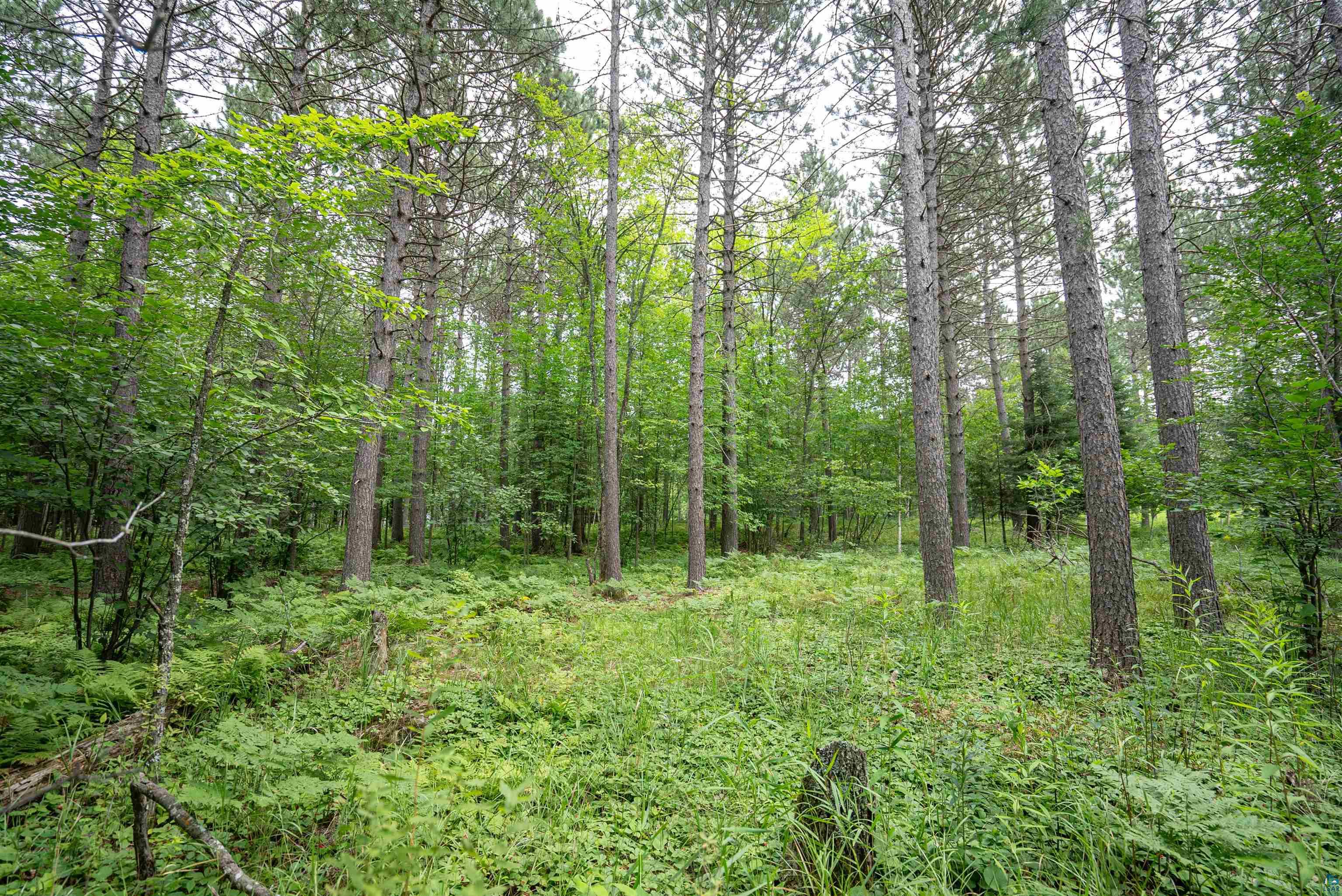 51xx Lindahl Rd, Duluth, MN 55811 Listing Photo  4