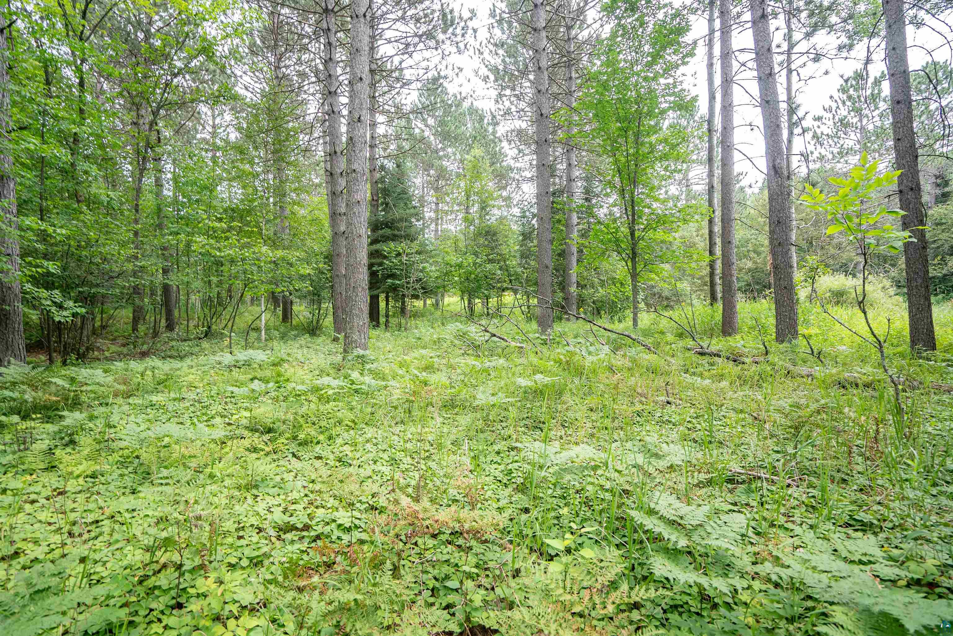 51xx Lindahl Rd, Duluth, MN 55811 Listing Photo  7