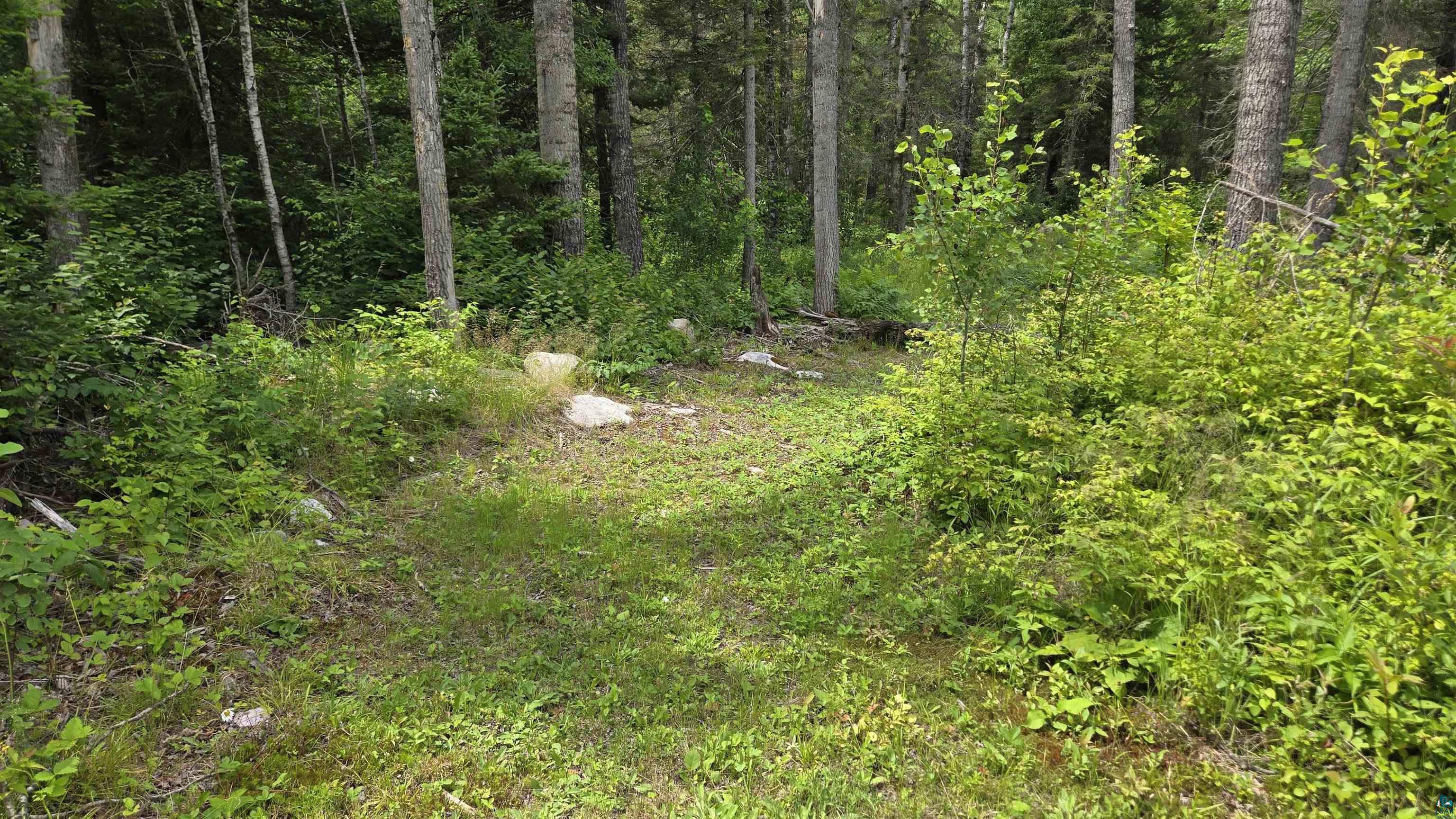 163 Rollick Creek, Crane Lake, MN 55725 Listing Photo  39