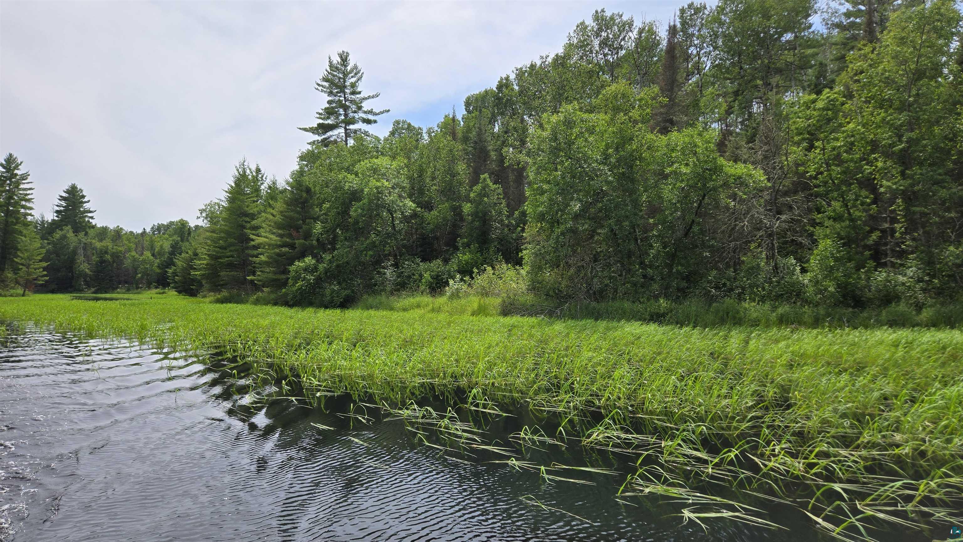 TBD 40N Rollick Creek, Crane Lake, MN 55725 Listing Photo  2