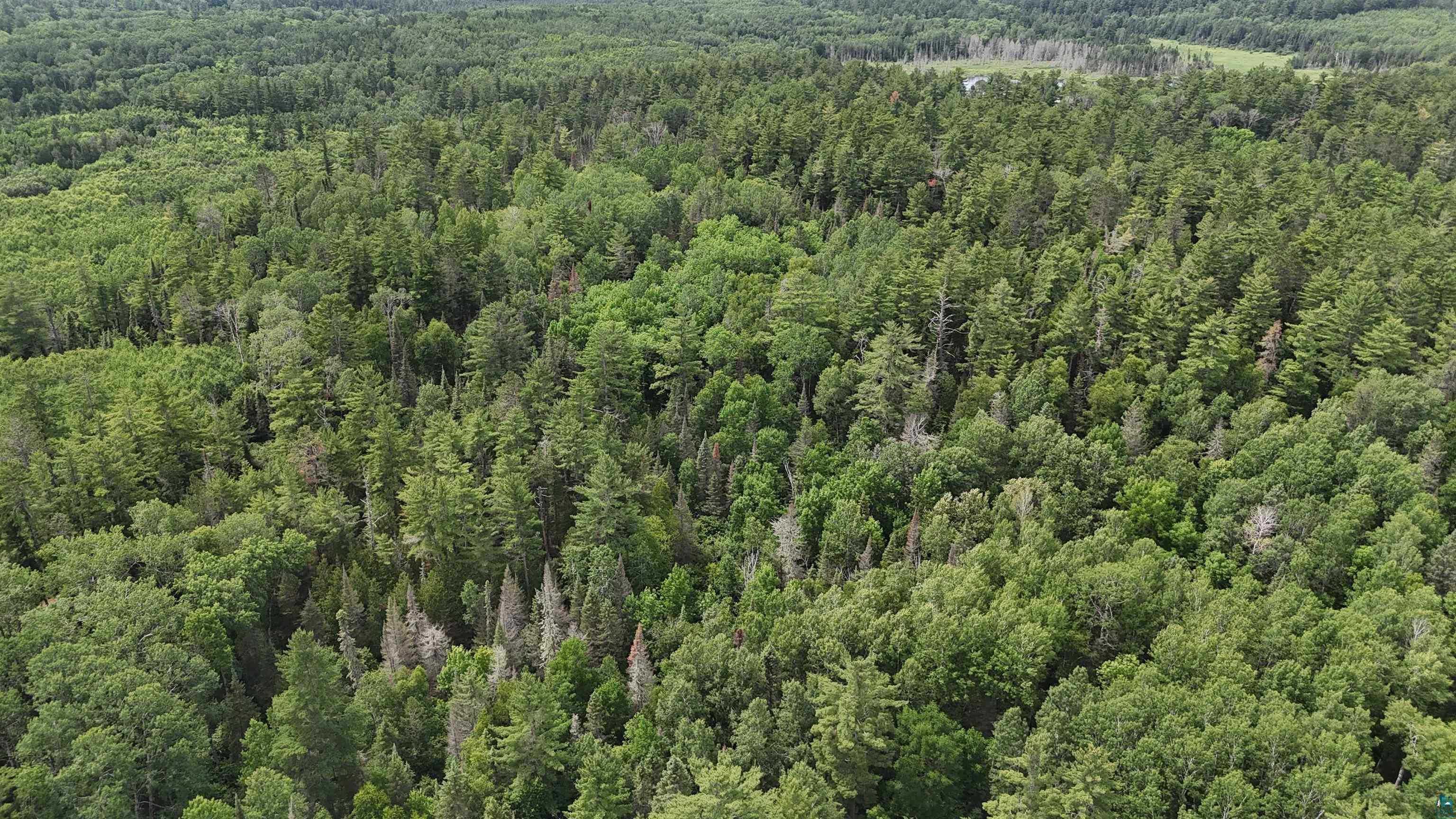 TBD 40N Rollick Creek, Crane Lake, MN 55725 Listing Photo  15