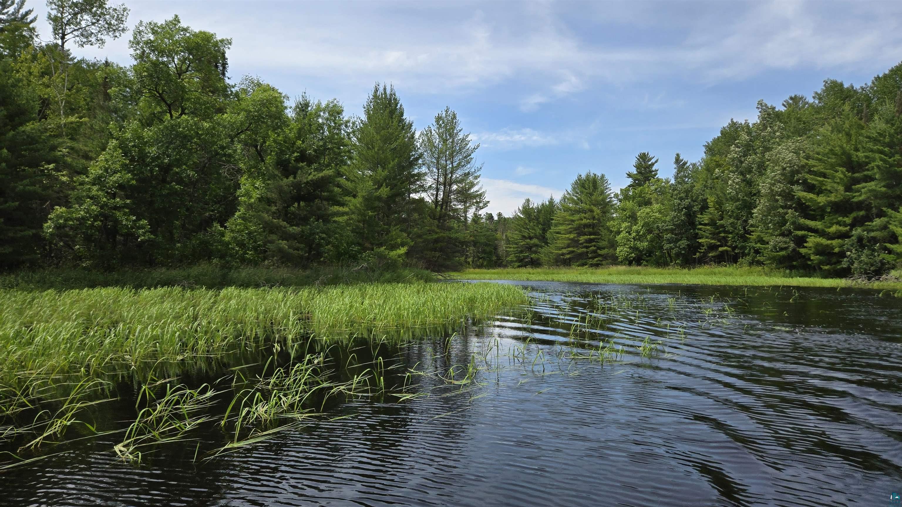 TBD 40N Rollick Creek, Crane Lake, MN 55725 Listing Photo  3