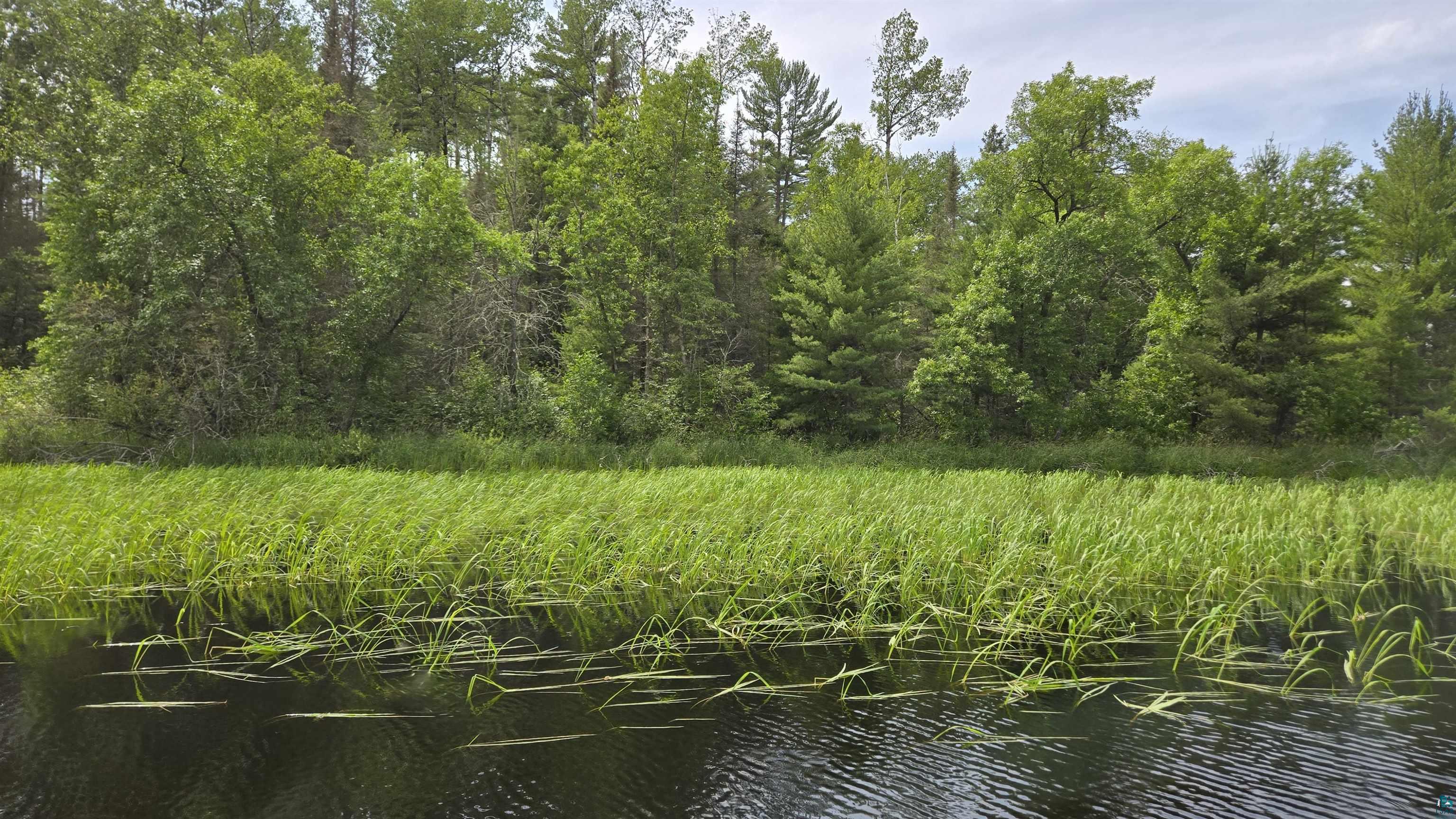 TBD 40N Rollick Creek, Crane Lake, MN 55725 Listing Photo  4