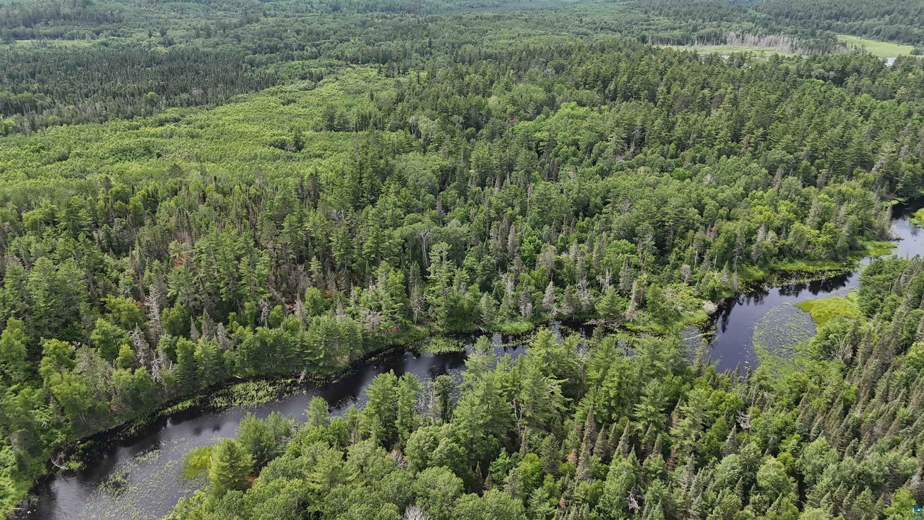 TBD 40N Rollick Creek, Crane Lake, MN 55725 Listing Photo  5