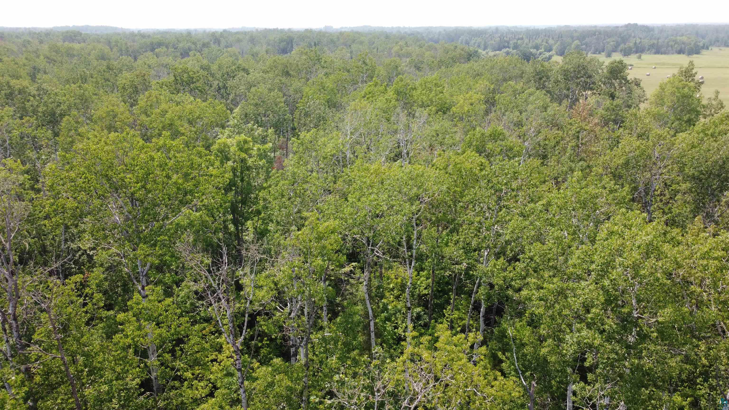 39XX S County Rd O, Maple, WI 54820 Listing Photo  2