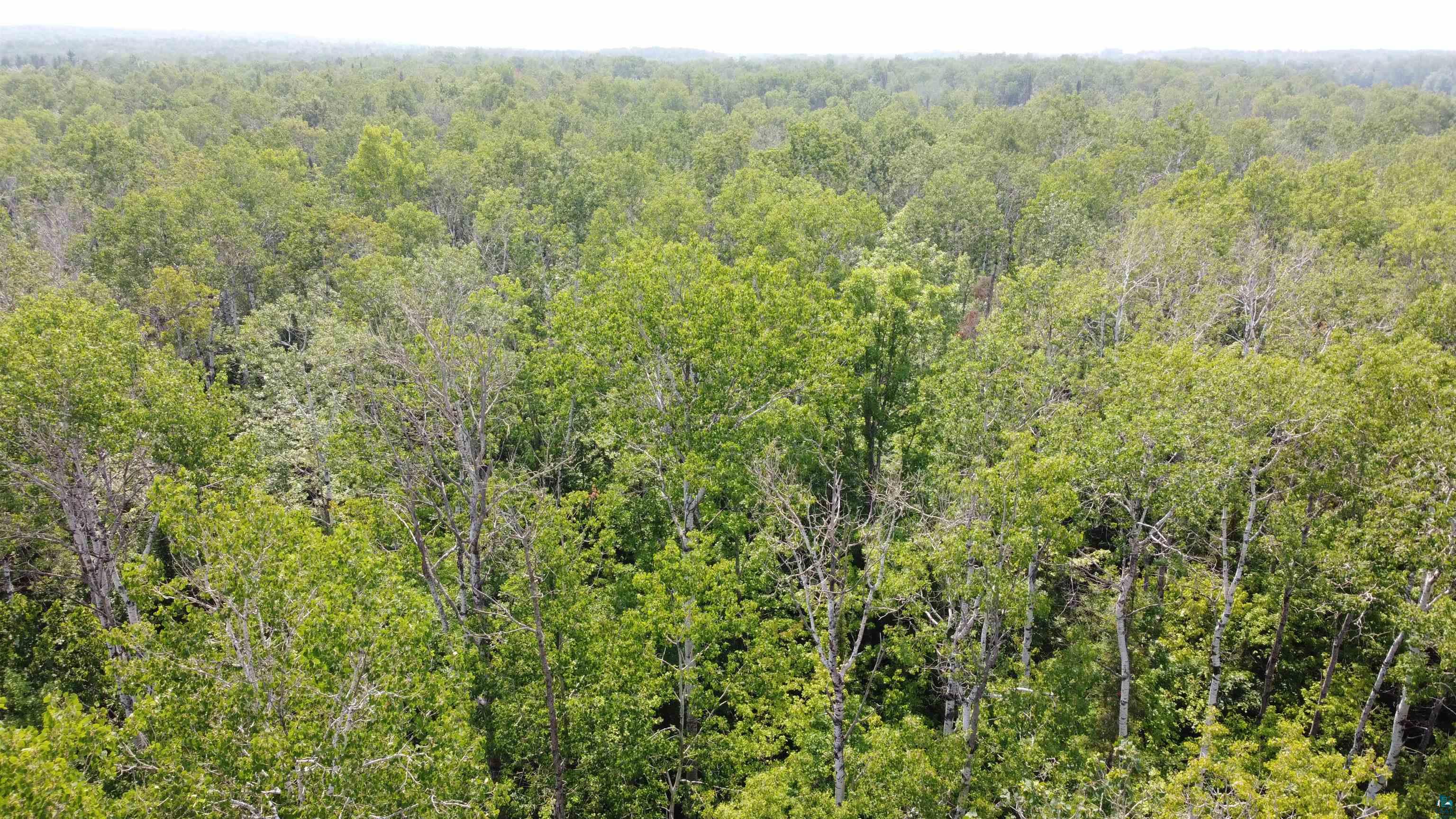 39XX S County Rd O, Maple, WI 54820 Listing Photo  4