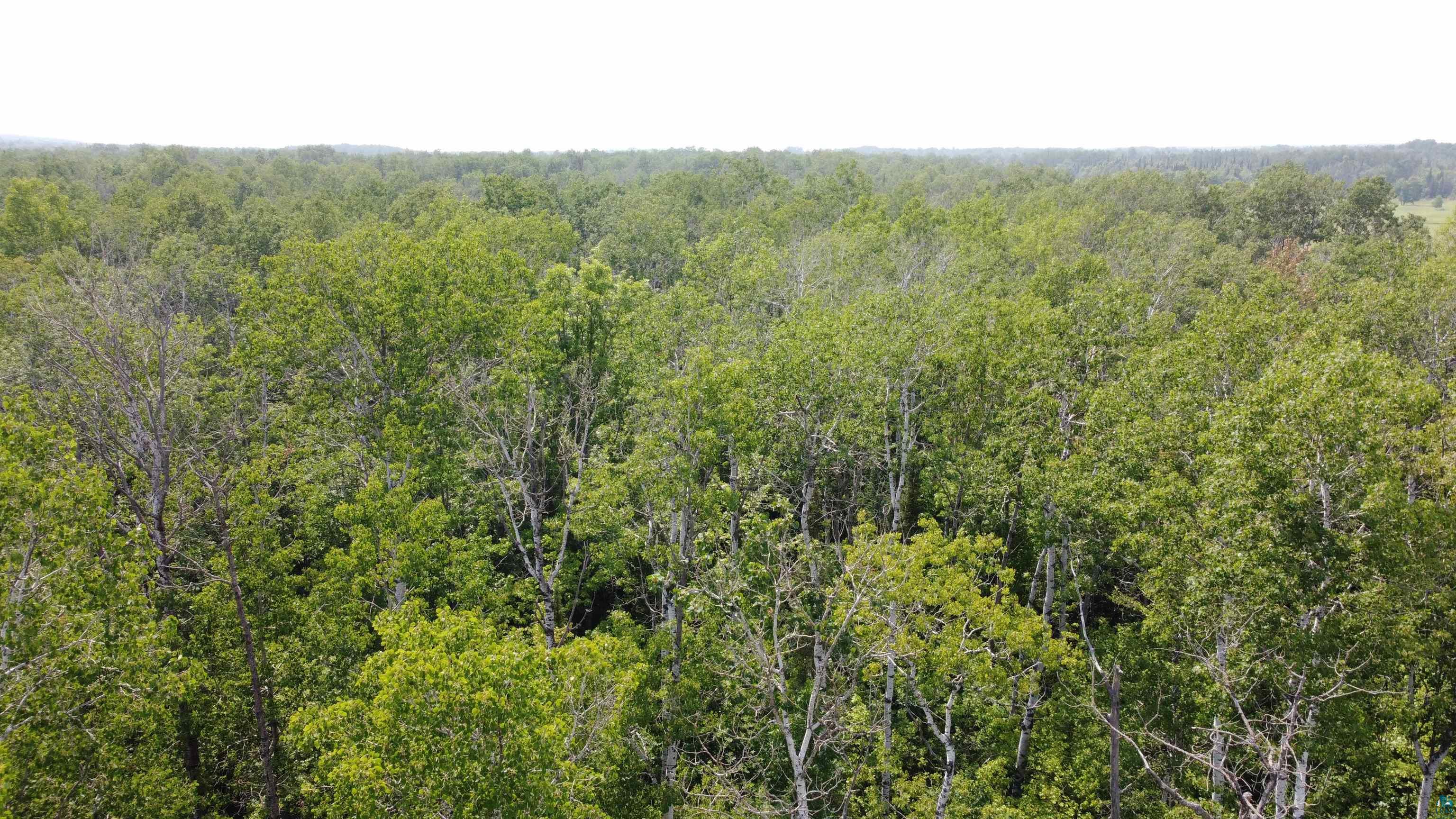 39XX S County Rd O, Maple, WI 54820 Listing Photo  5
