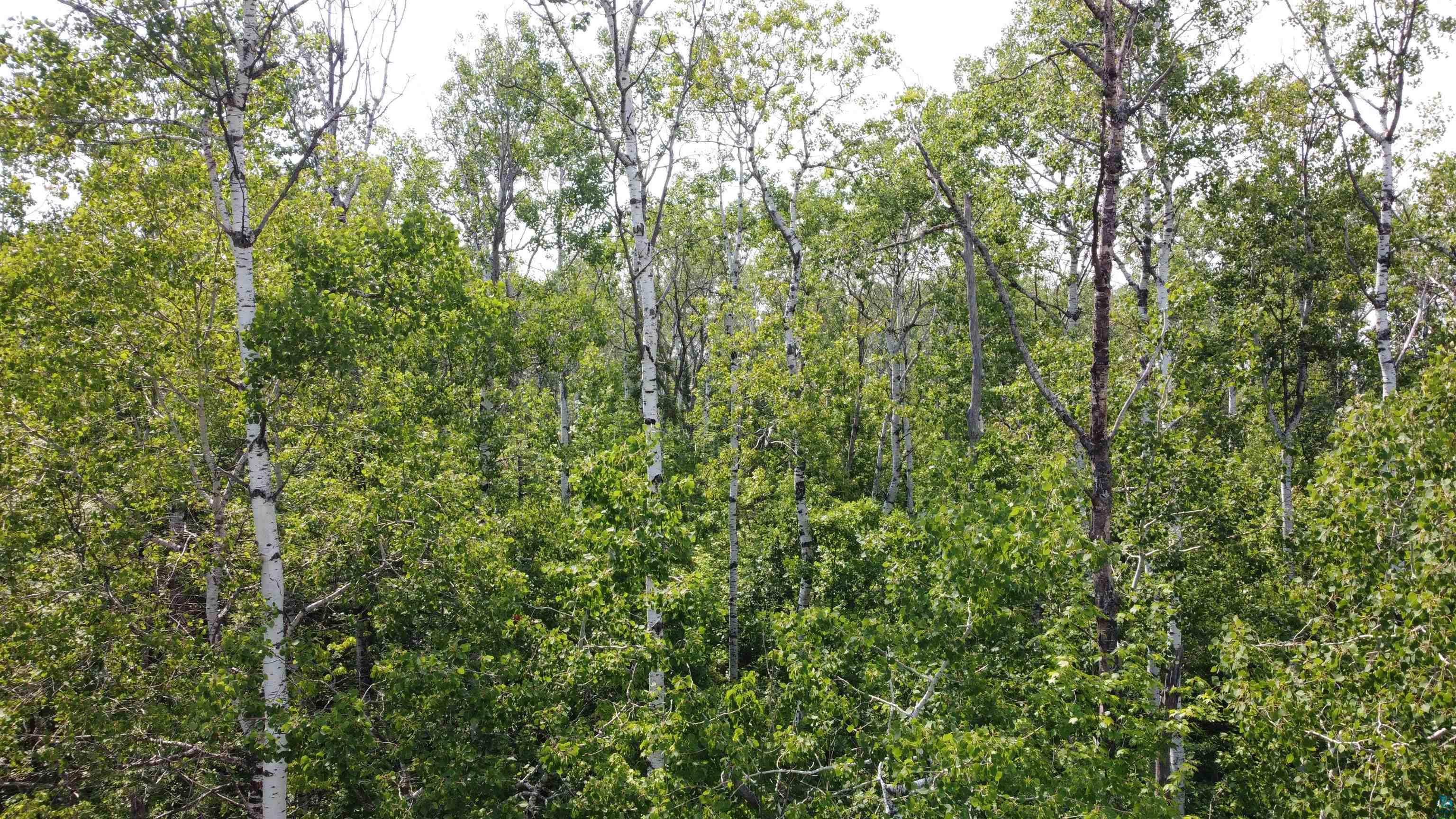 39XX S County Rd O, Maple, WI 54820 Listing Photo  6