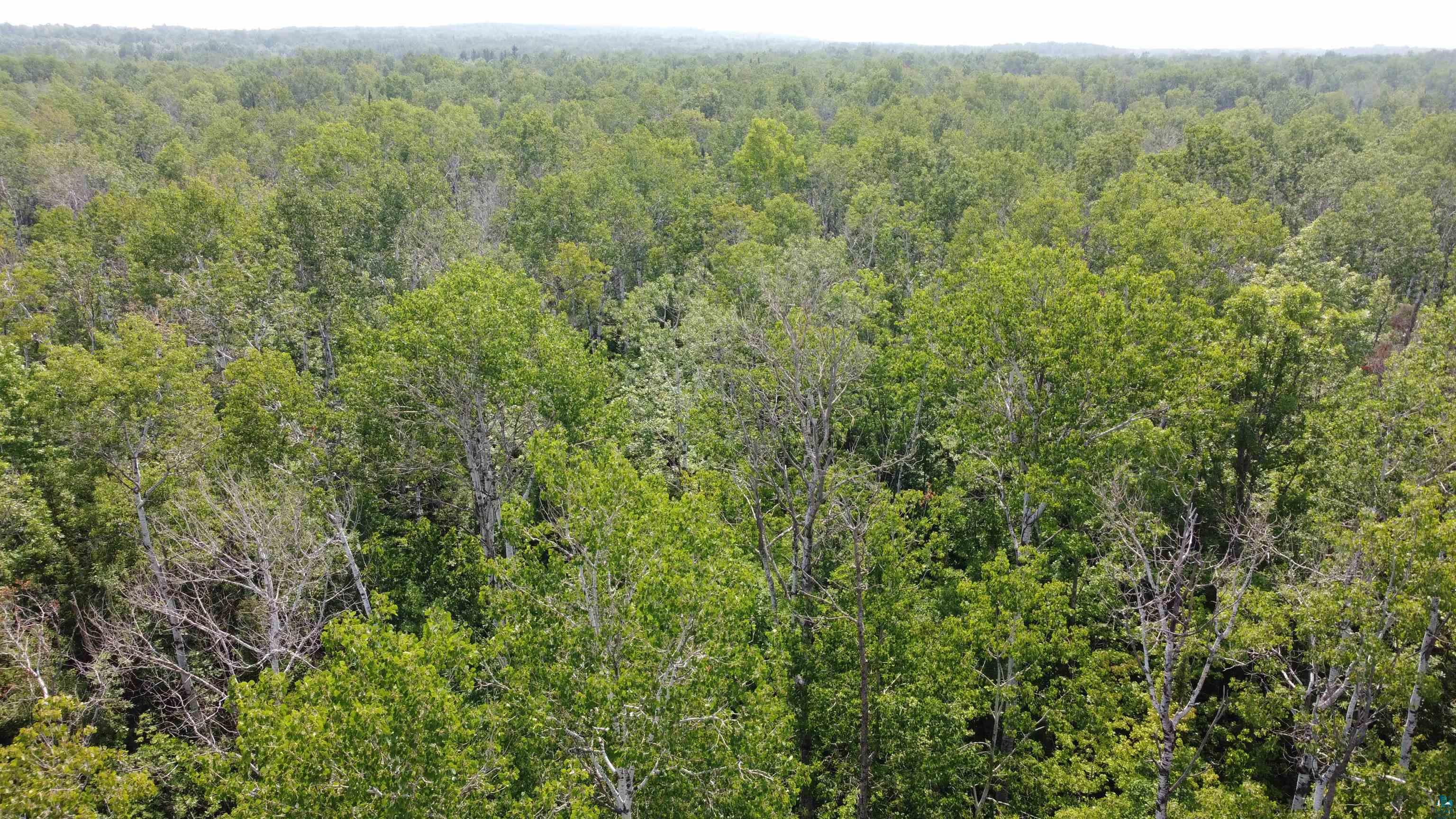 39XX S County Rd O, Maple, WI 54820 Listing Photo  7