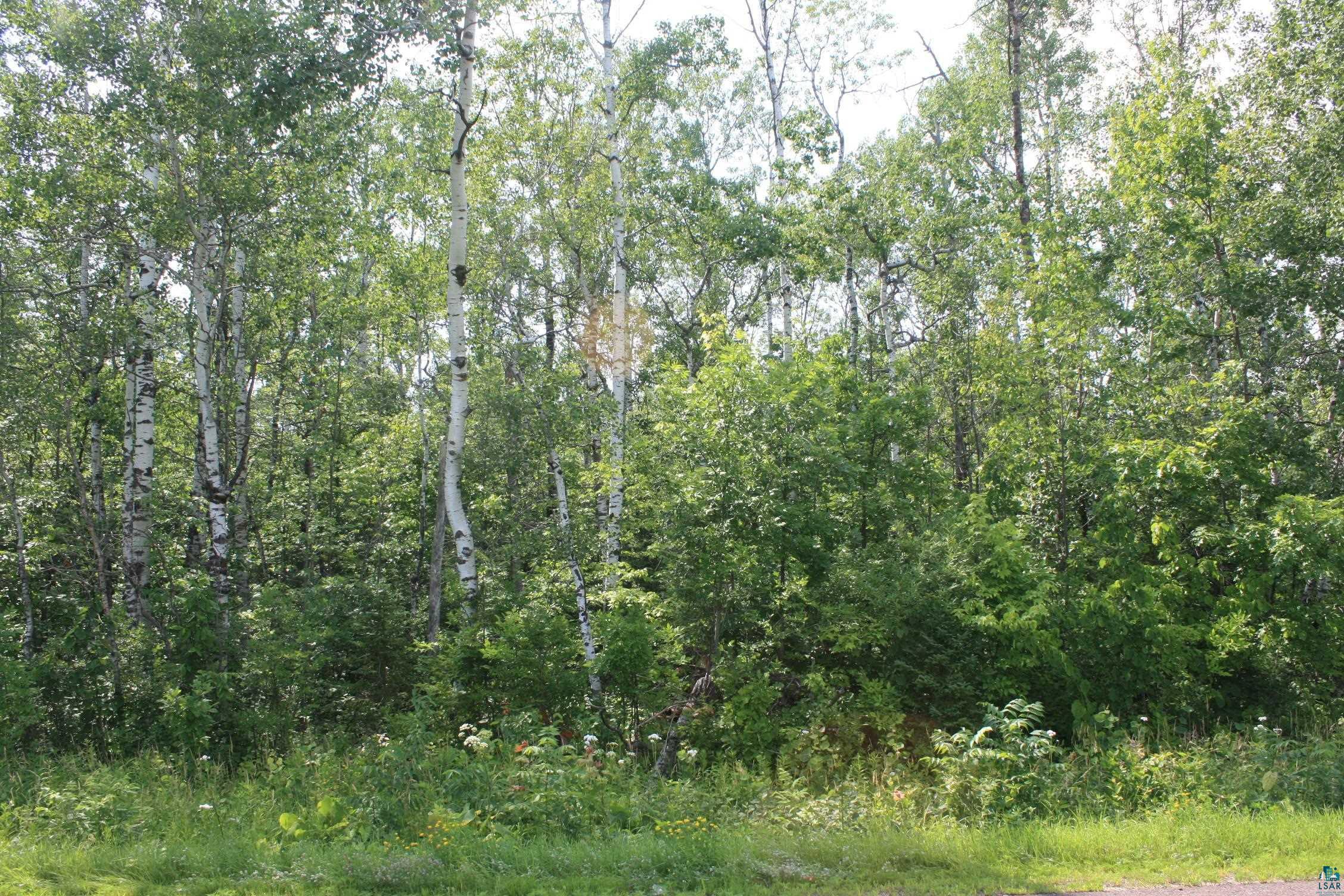 39XX S County Rd O, Maple, WI 54820 Listing Photo  8