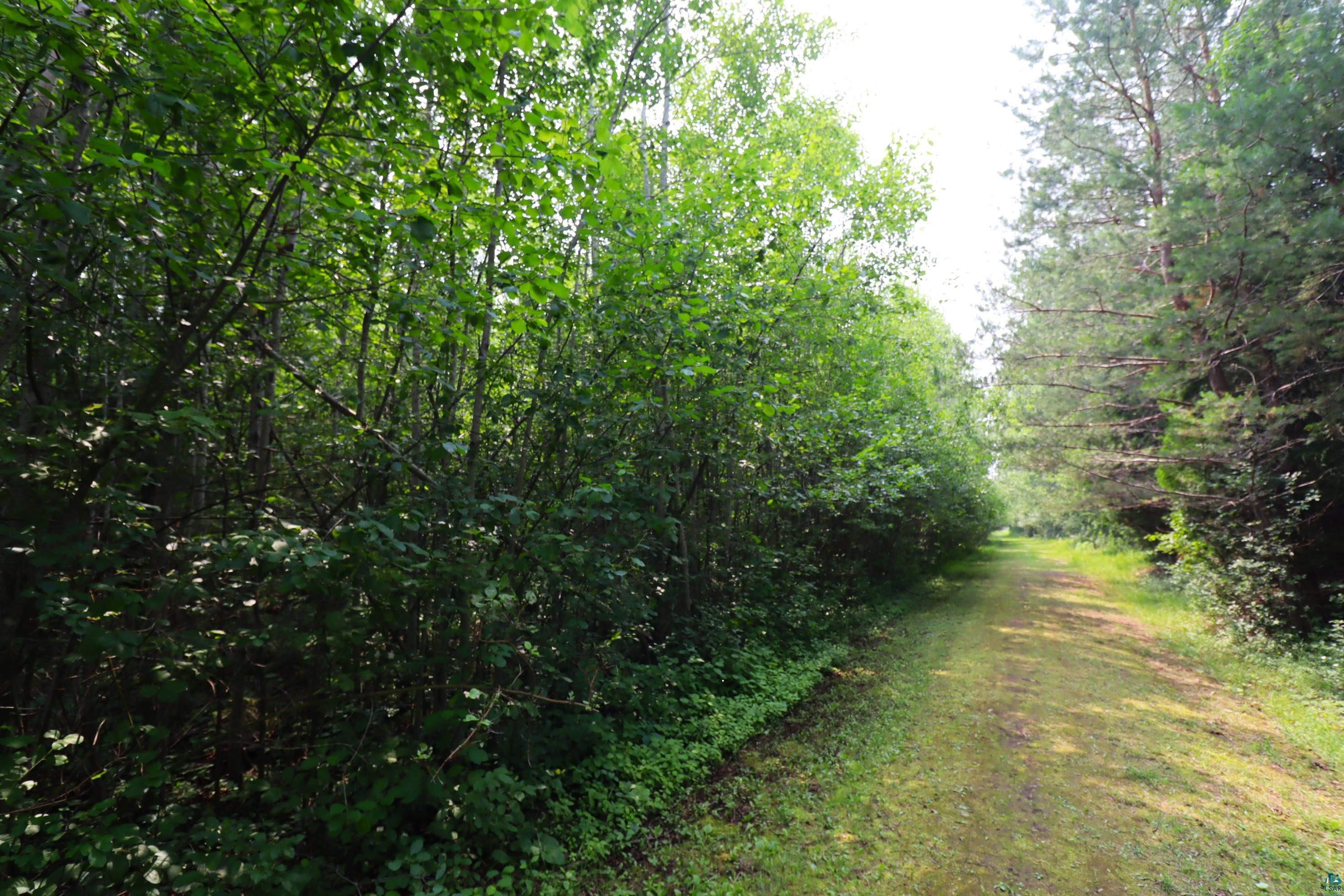 28XX Junction Rd, Ashland, WI 54806 Listing Photo  6