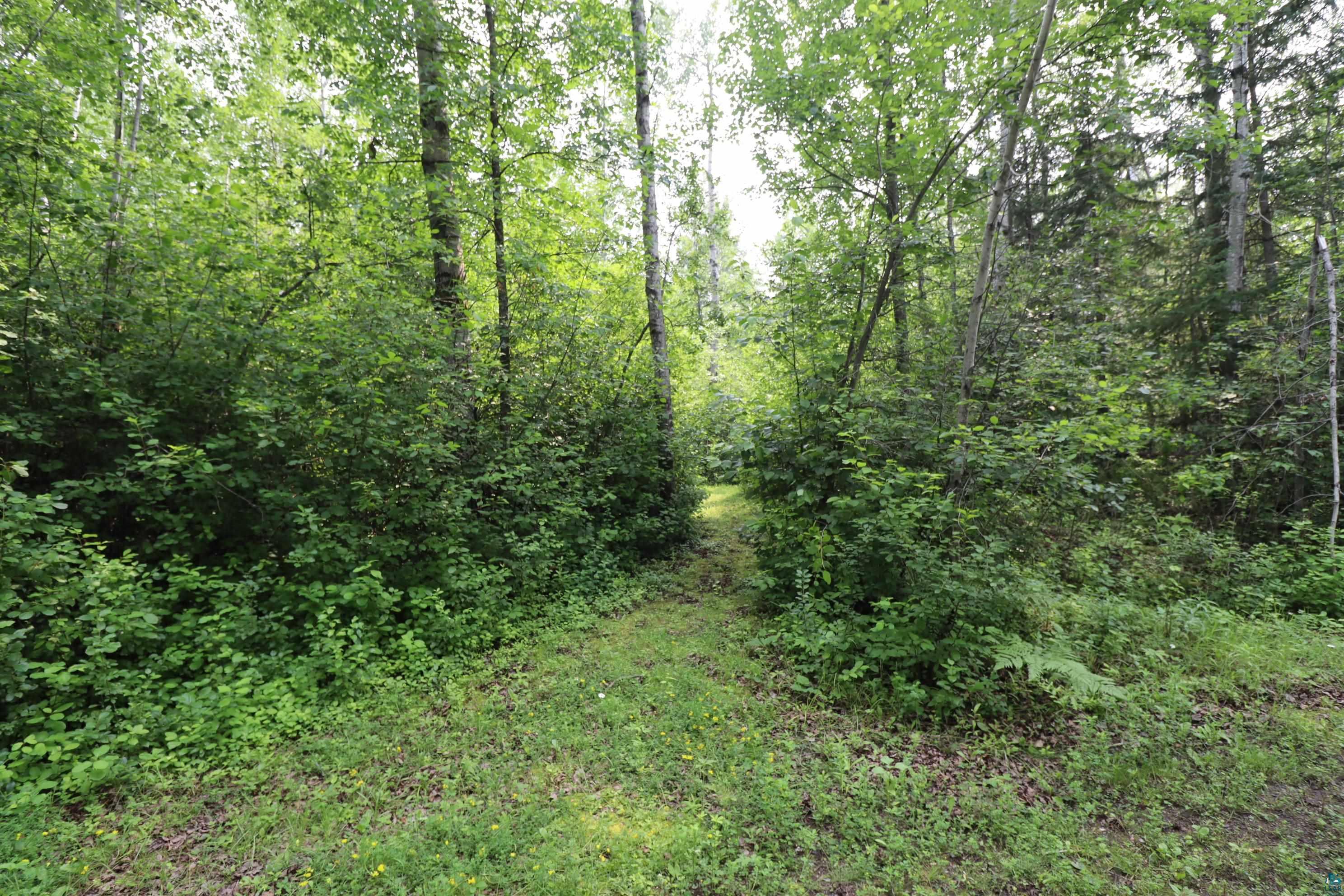 28XX Junction Rd, Ashland, WI 54806 Listing Photo  7