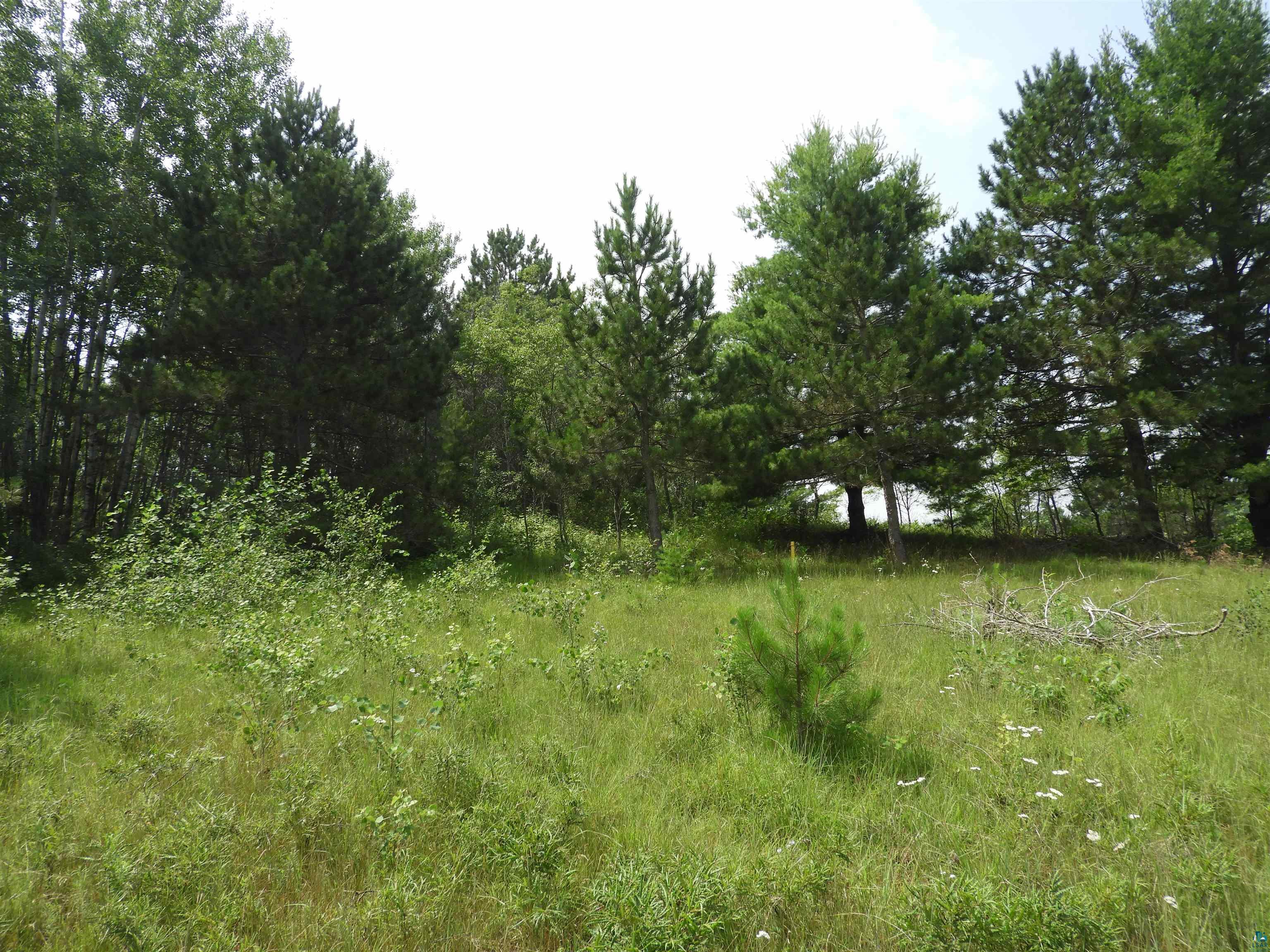 XXXX Moon Dr, Iron River, WI 54847 Listing Photo  1