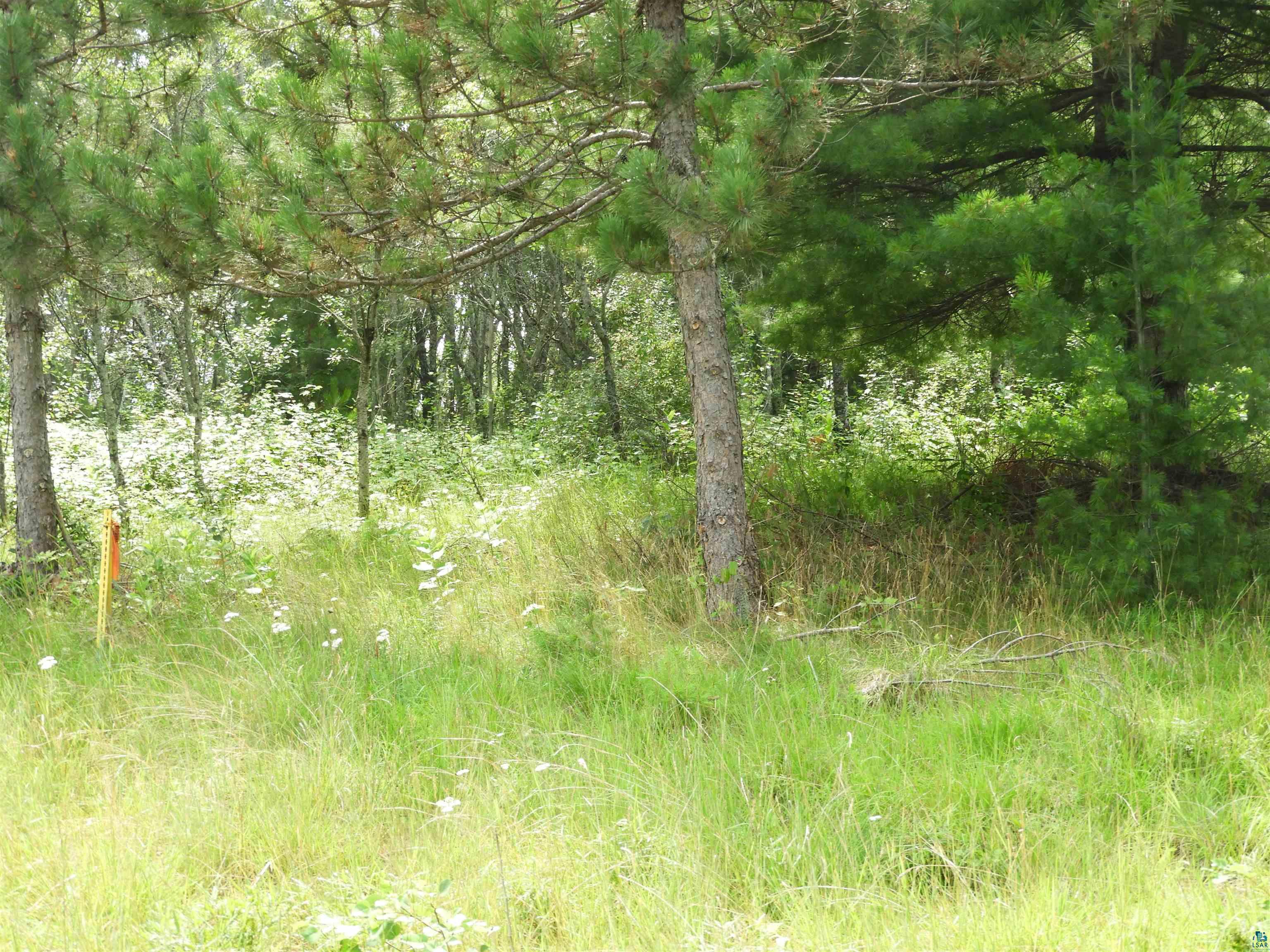 XXXX Moon Dr, Iron River, WI 54847 Listing Photo  6