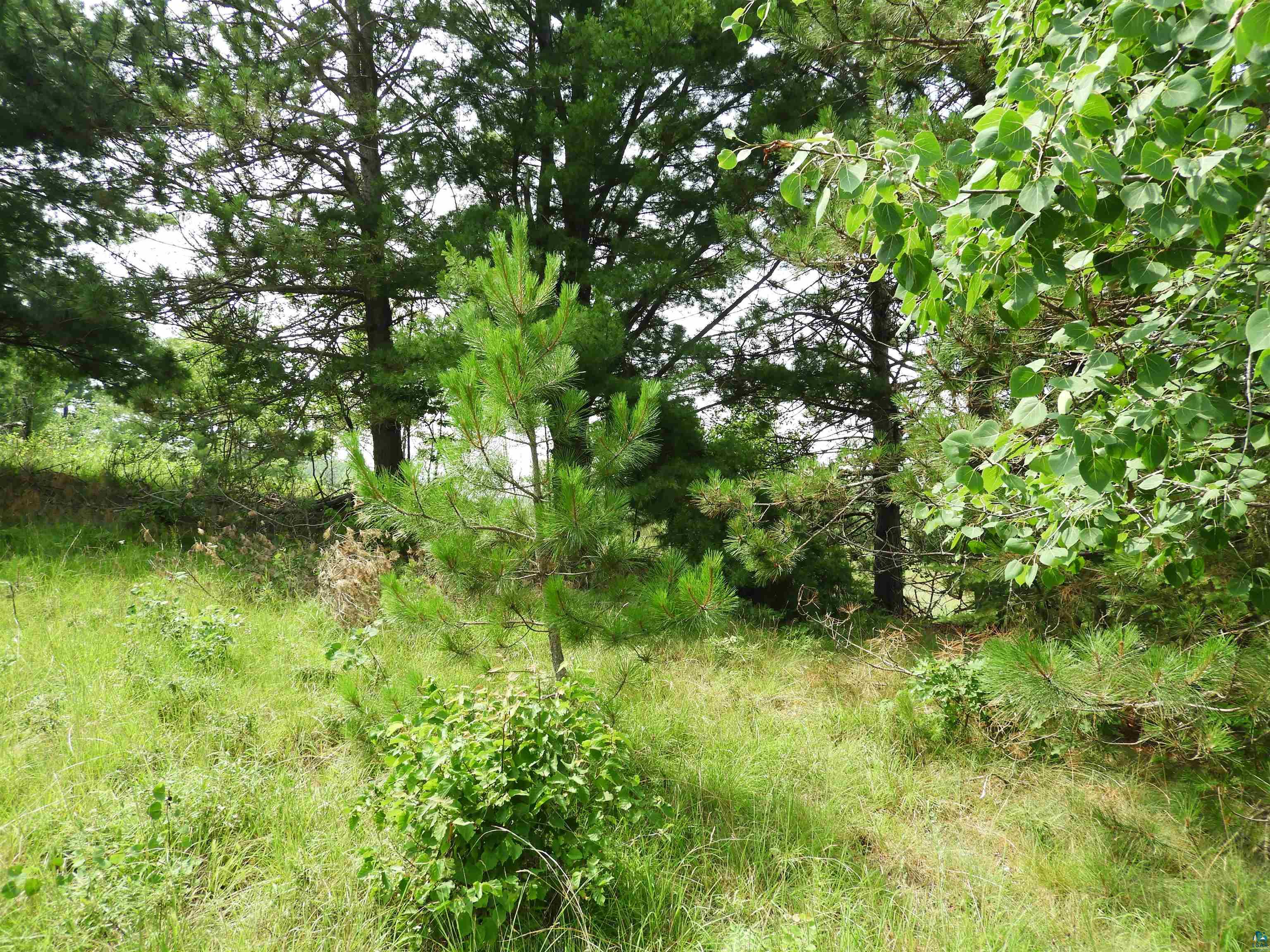 XXXX Moon Dr, Iron River, WI 54847 Listing Photo  7