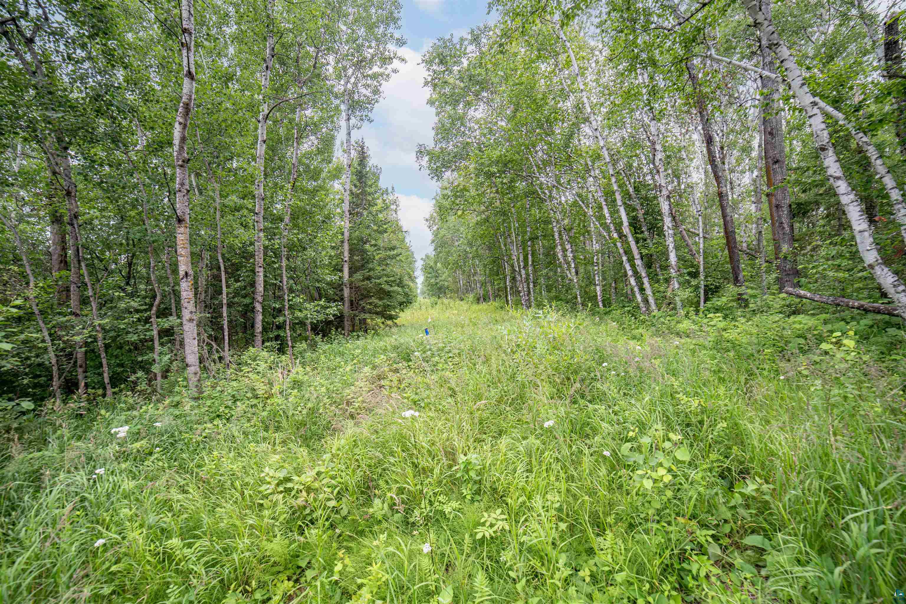 XXXX Lakewood Rd, Duluth, MN 55804 Listing Photo  9