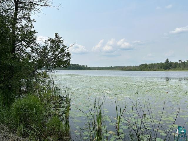 TBD Jola Rd, Eveleth, MN 55734-0000 Listing Photo  3
