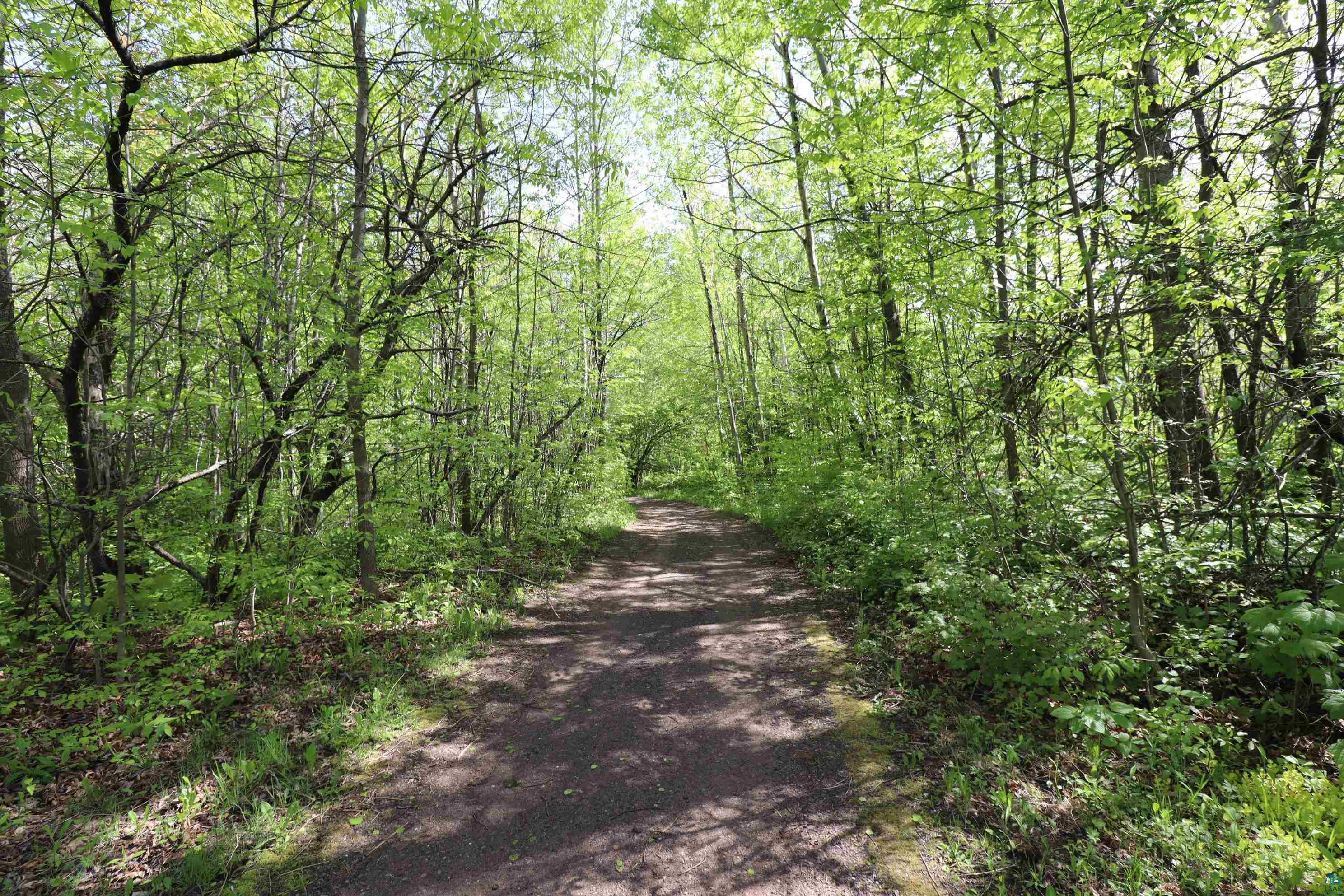 Lot 19 Eagle Run, Bayfield, WI 54814 Listing Photo  24