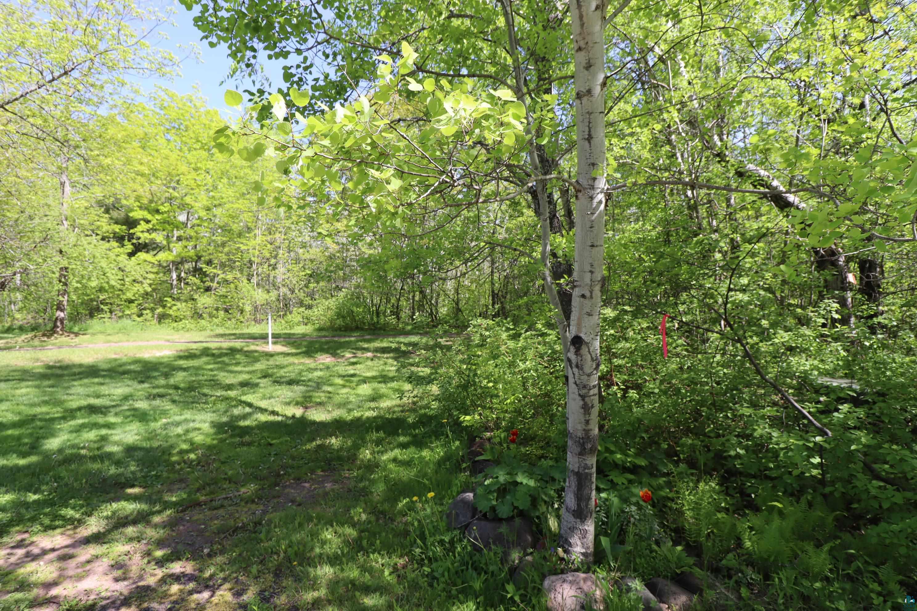Lot 19 Eagle Run, Bayfield, WI 54814 Listing Photo  8