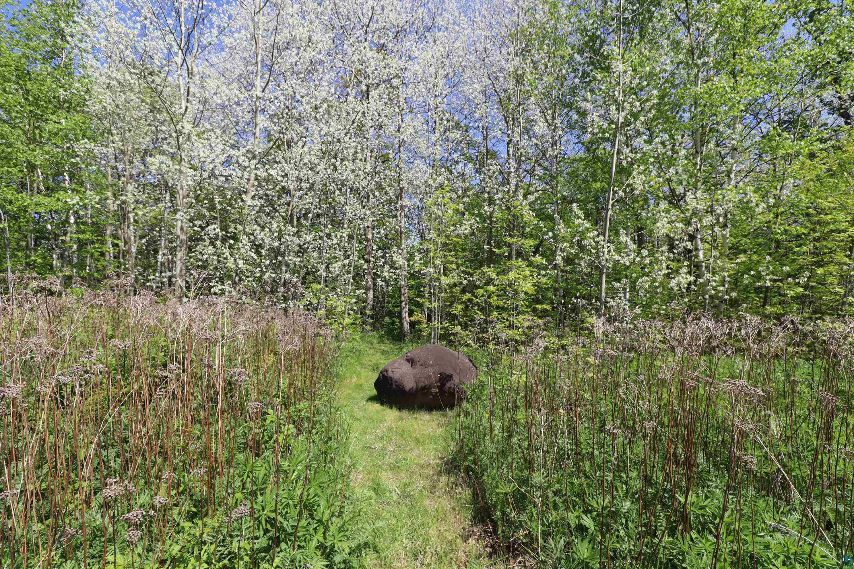 Lot 38 Eagle Run, Bayfield, WI 54814 Listing Photo  12