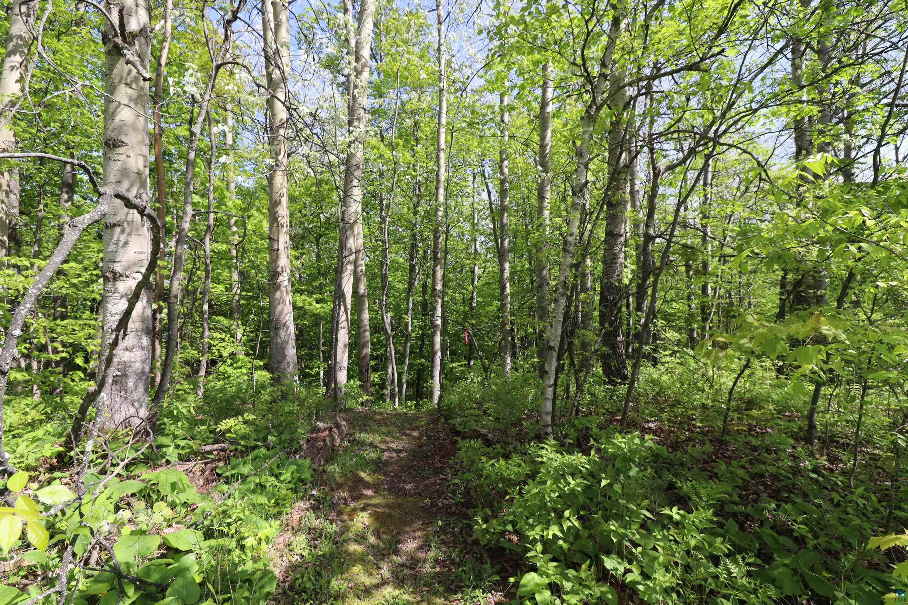 Lot 38 Eagle Run, Bayfield, WI 54814 Listing Photo  23