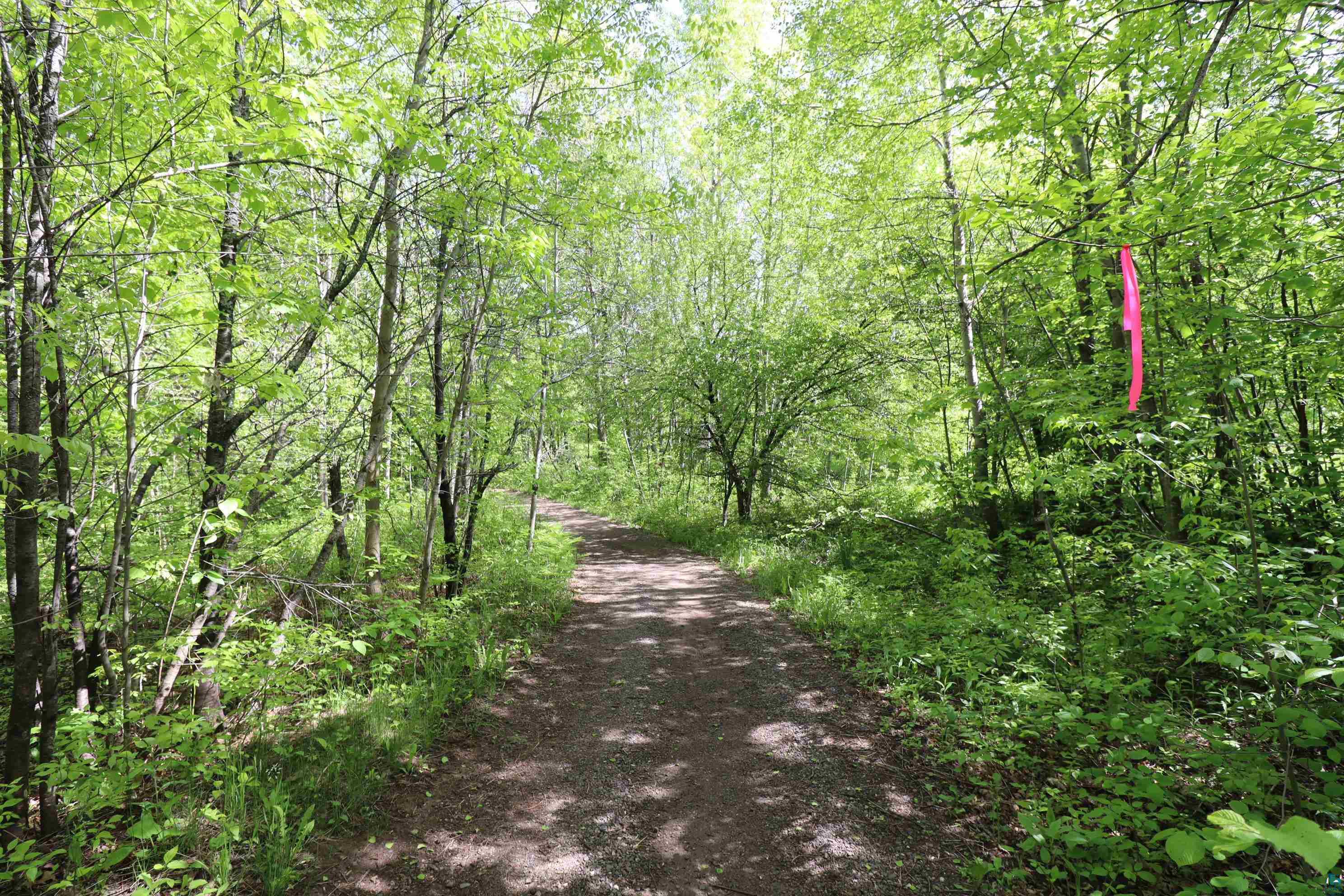 Lot 38 Eagle Run, Bayfield, WI 54814 Listing Photo  26