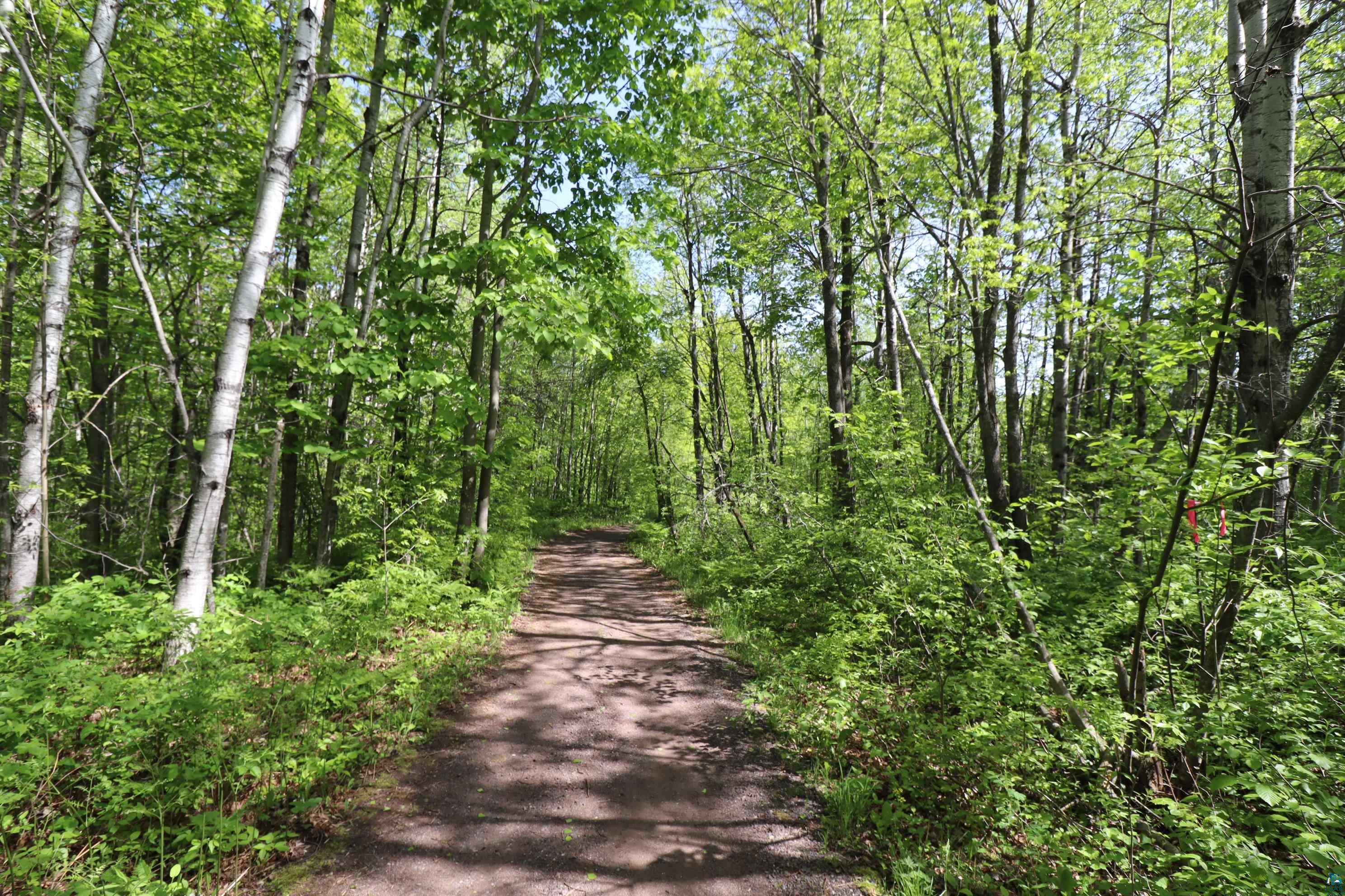 Lot 38 Eagle Run, Bayfield, WI 54814 Listing Photo  27