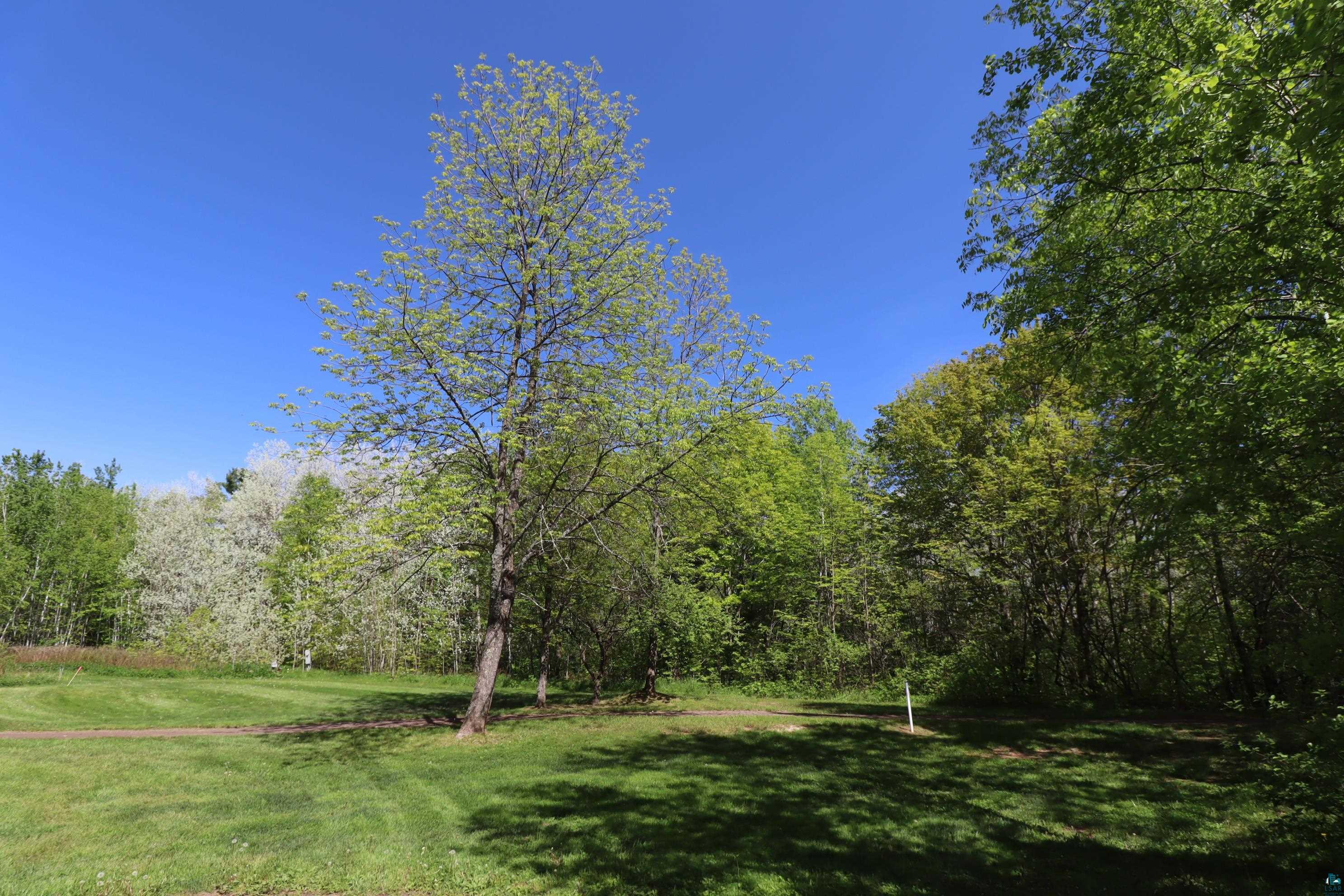 Lot 38 Eagle Run, Bayfield, WI 54814 Listing Photo  7