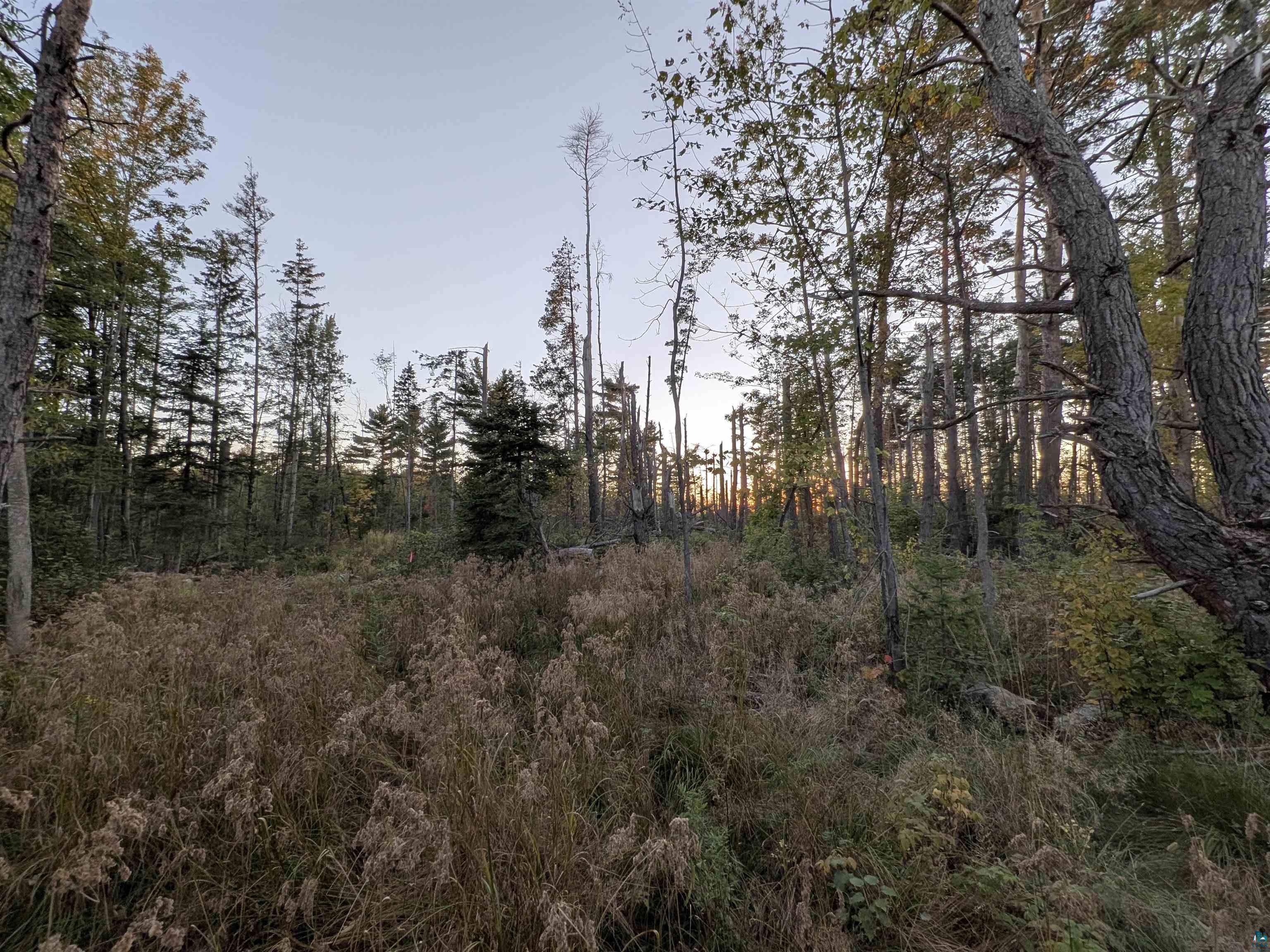 9.58 Acres on Peterson Hill Rd, Bayfield, WI 54814 Listing Photo  2
