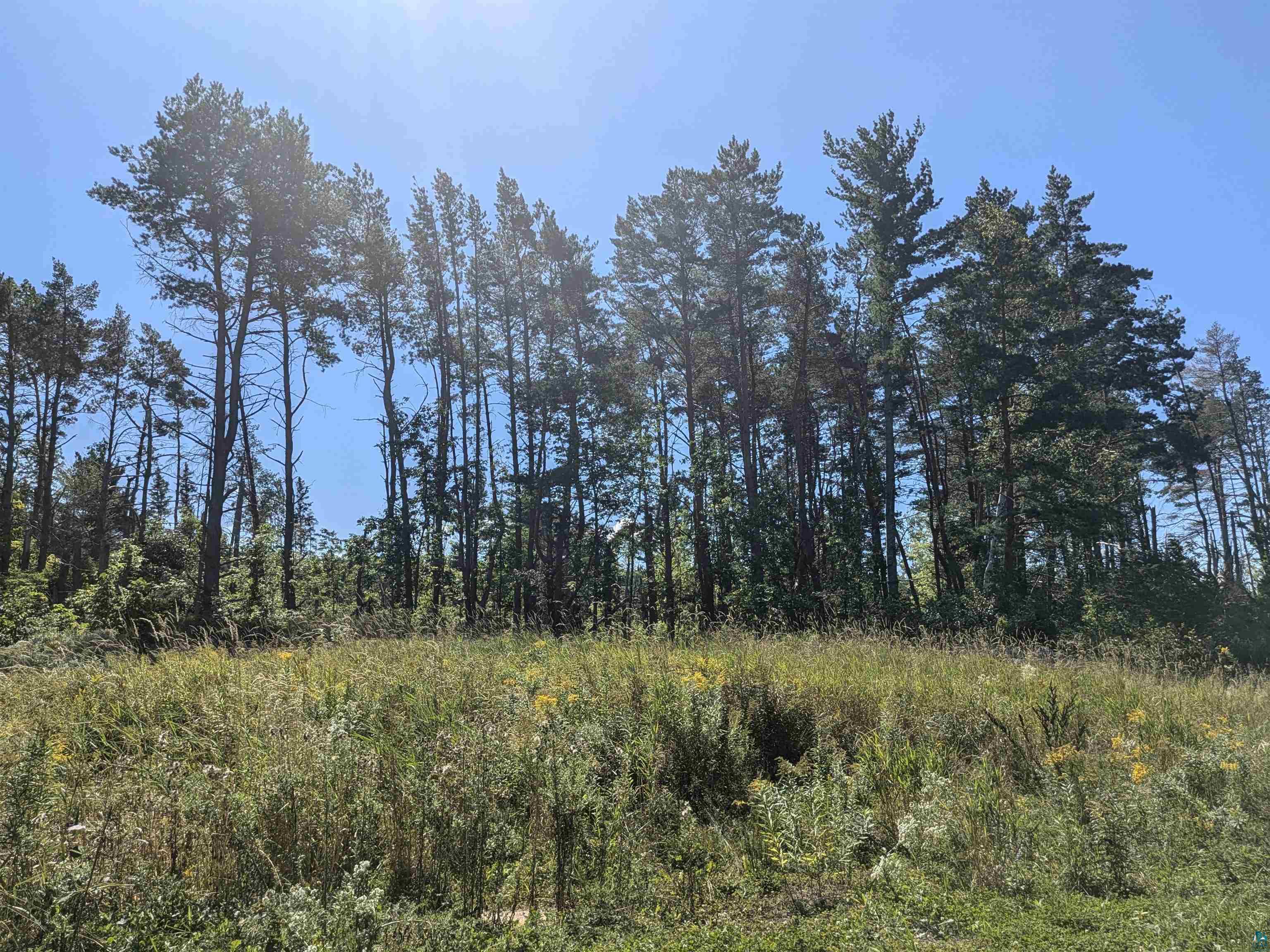 9.58 Acres on Peterson Hill Rd, Bayfield, WI 54814 Listing Photo  4