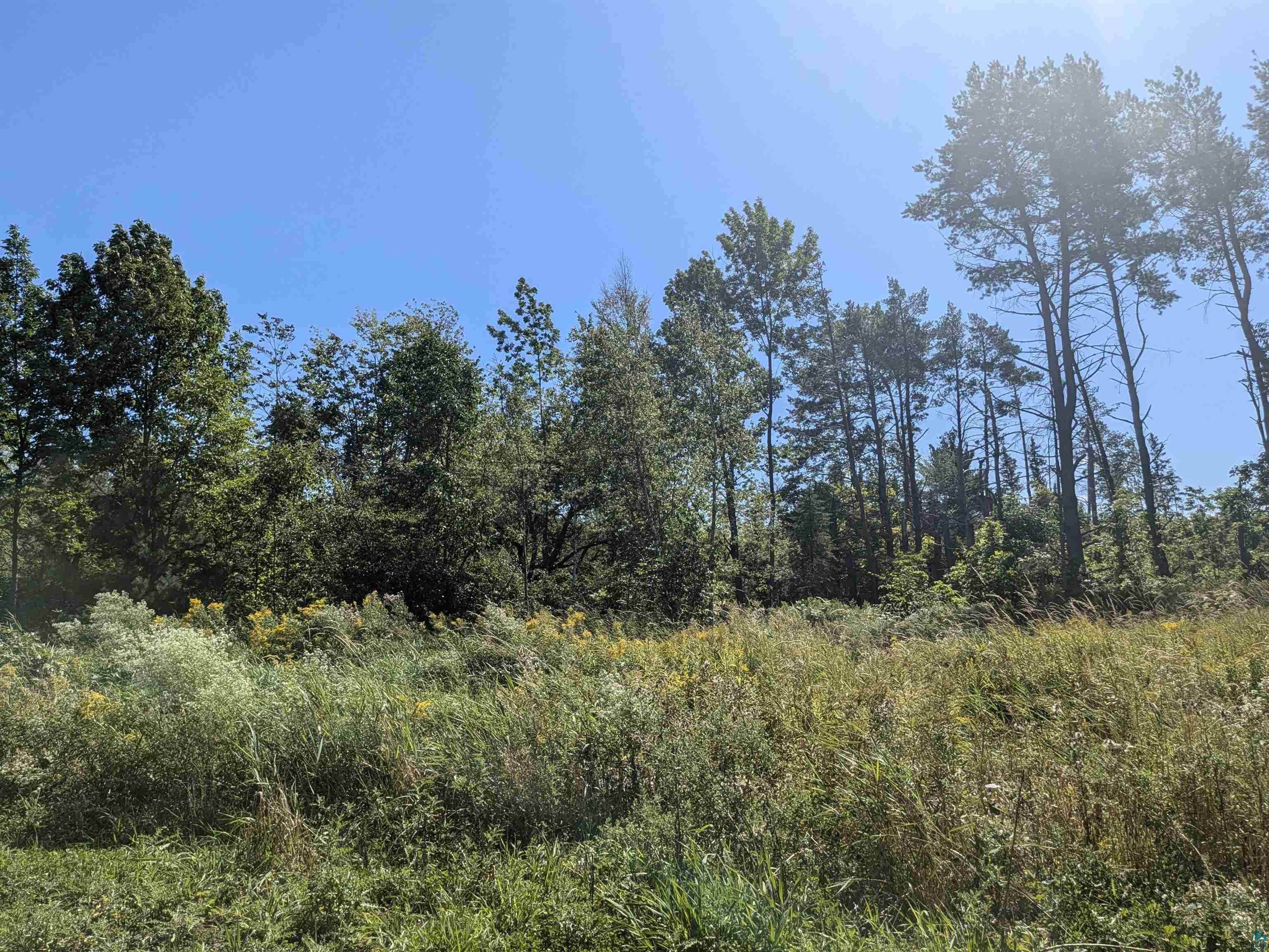 9.58 Acres on Peterson Hill Rd, Bayfield, WI 54814 Listing Photo  5