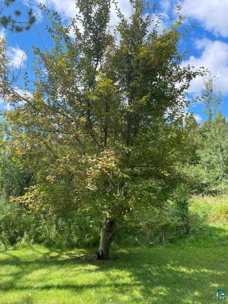 3215 County Rd 904, Babbitt, MN 55706-0000 Listing Photo  43