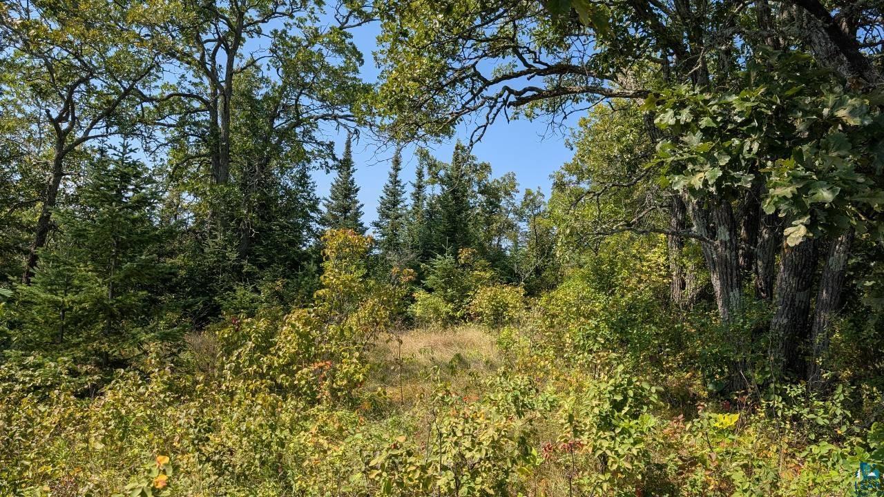 TBD Lake Vermilion, Tower, MN 55790 Listing Photo  5