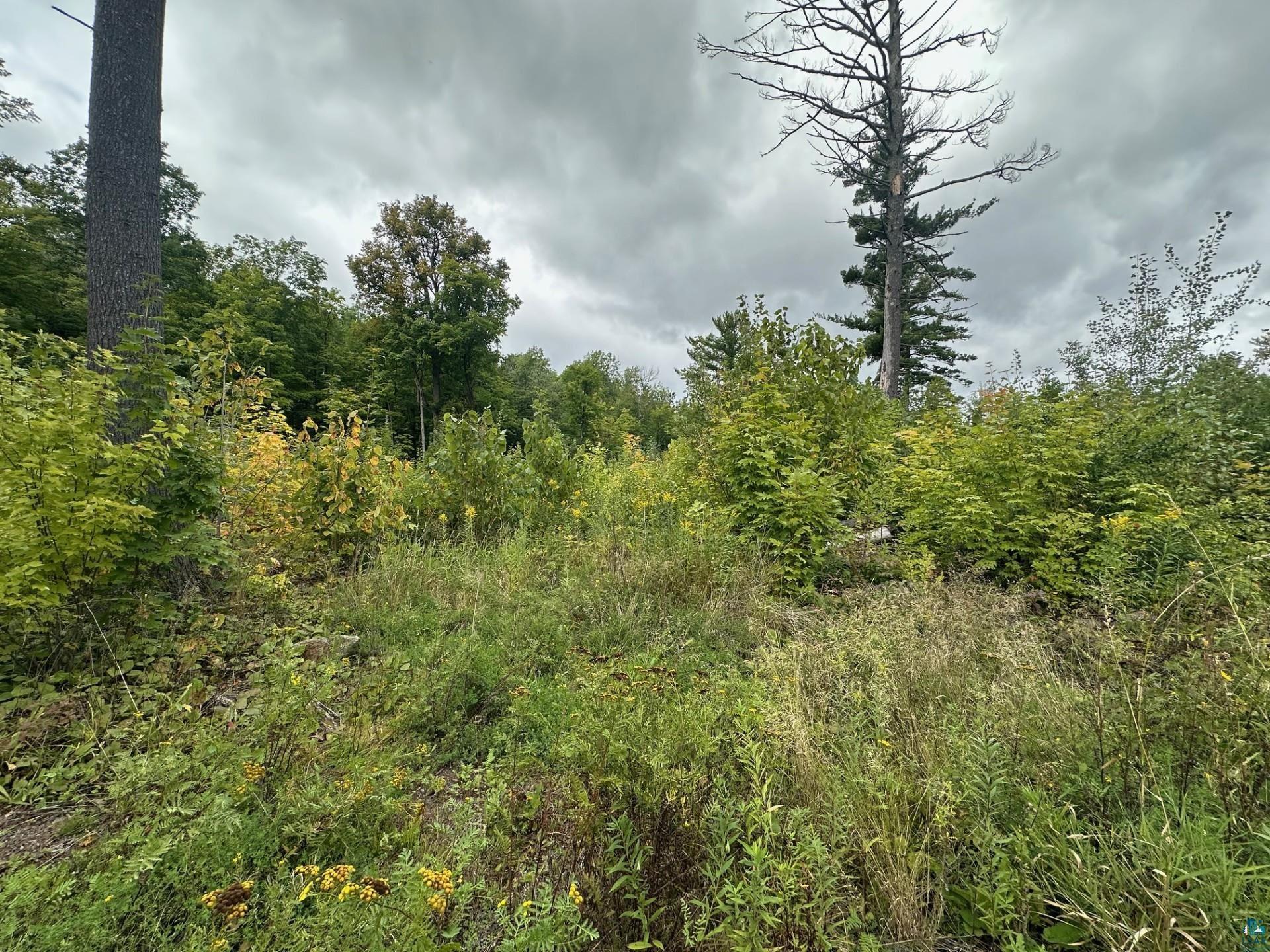 TBD Hwy 45, Cloquet, MN 55720 Listing Photo  1