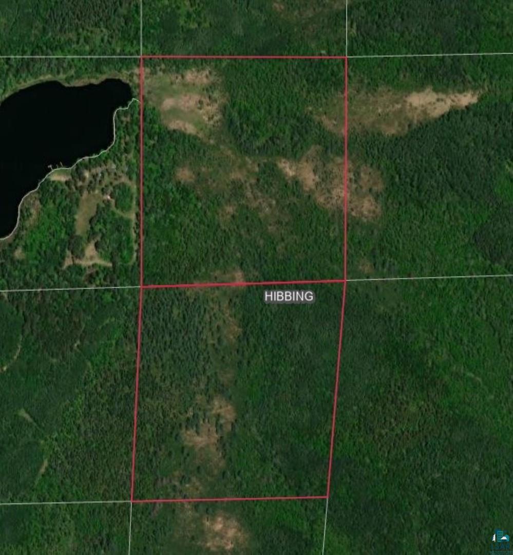 XXX S Town Line Rd, Hibbing, MN 55746 Listing Photo  3