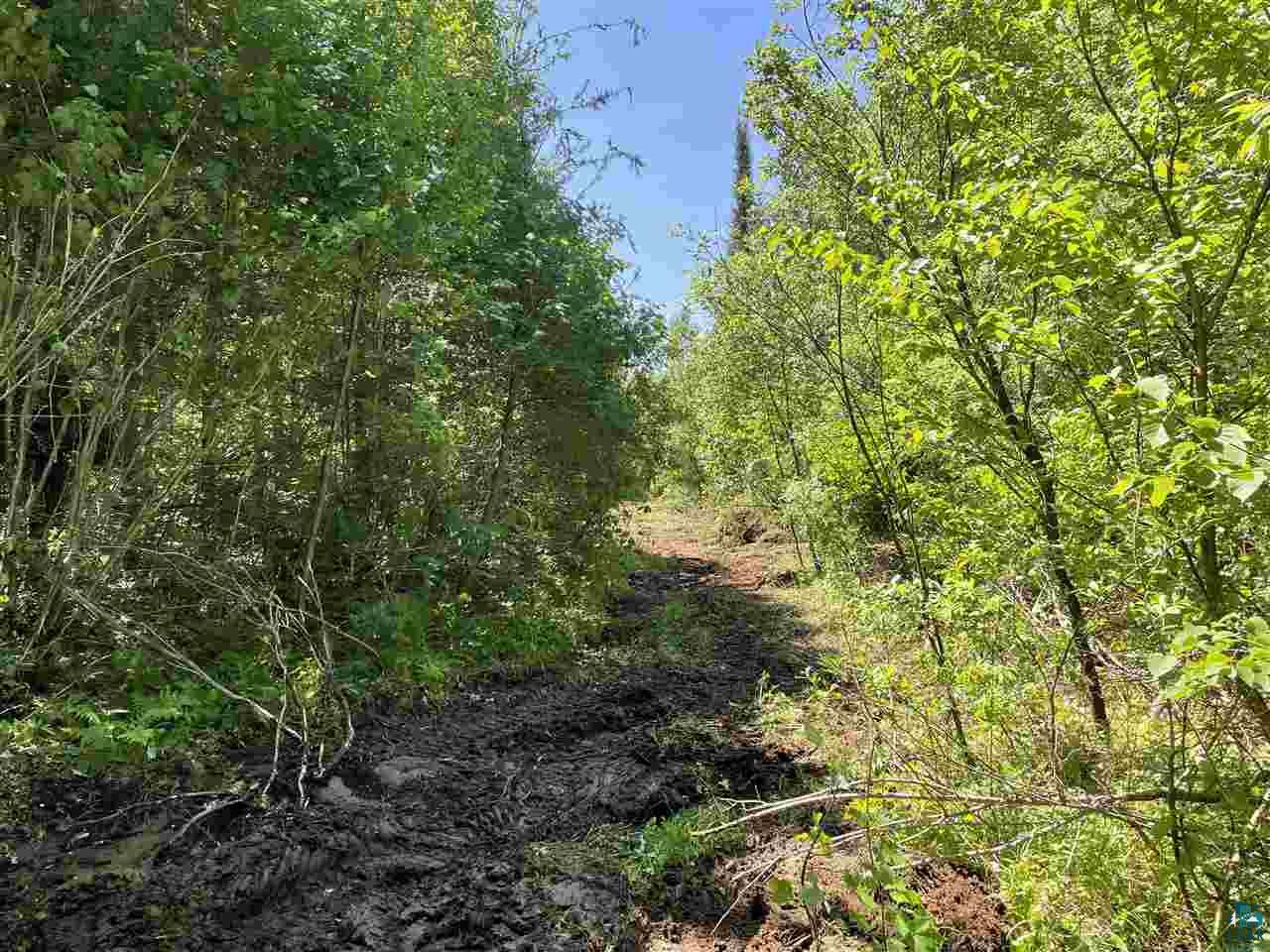 xxx Stony River Forest Rd, Isabella, MN 55607 Listing Photo  1