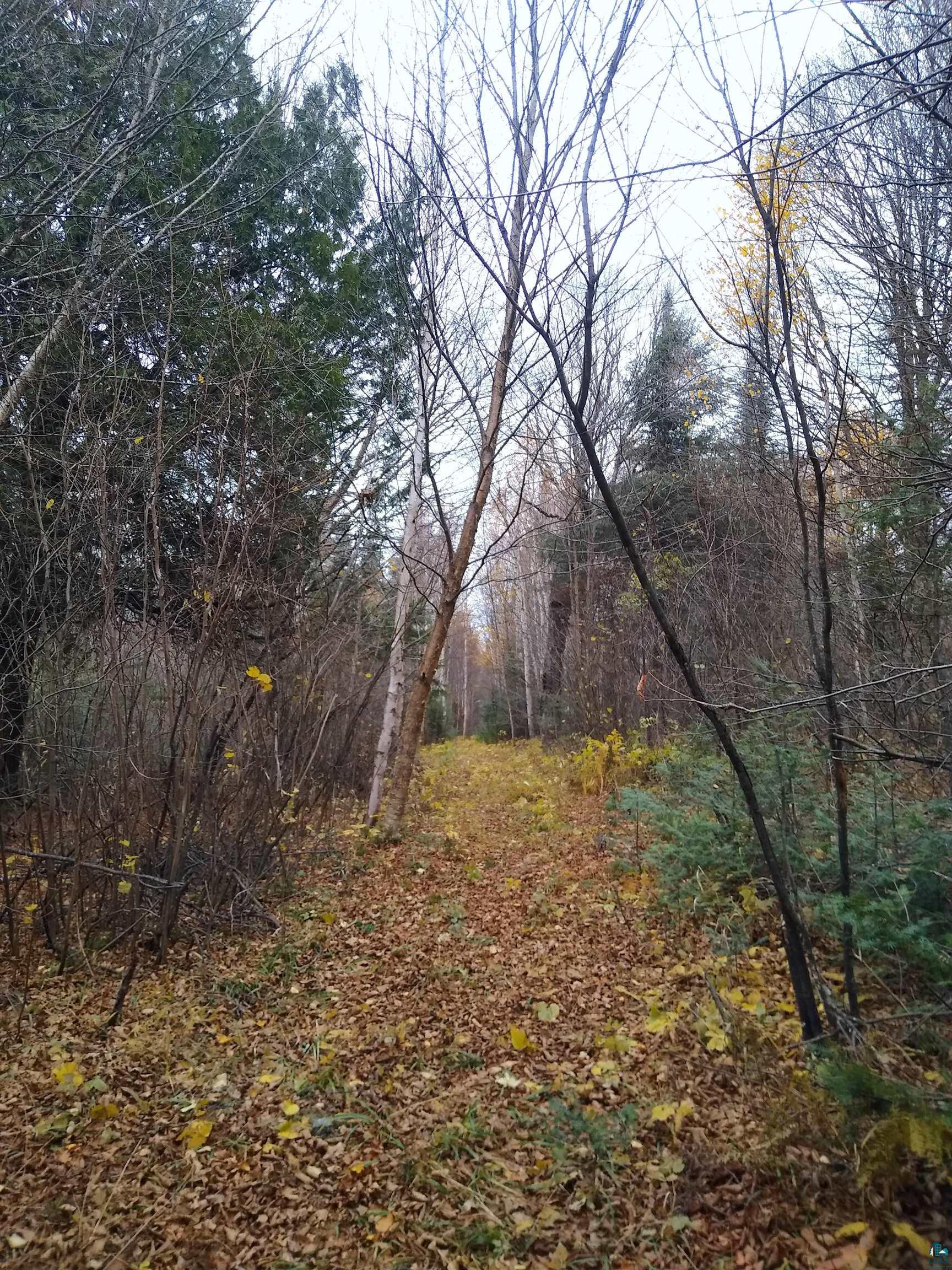 xxx Stony River Forest Rd, Isabella, MN 55607 Listing Photo  14