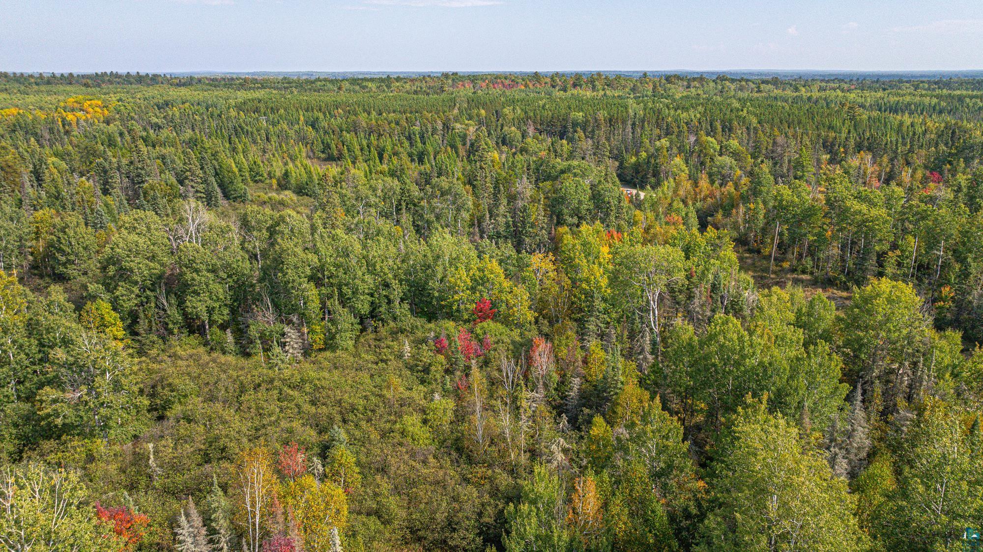 TBD Johnson Creek Dr, Ely, MN 55731-1635 Listing Photo  18