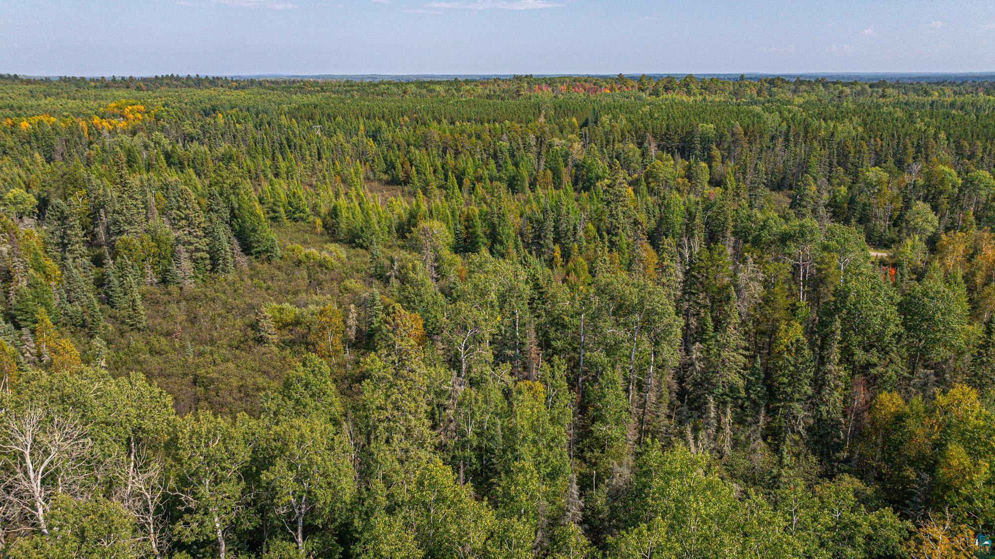 TBD Johnson Creek Dr, Ely, MN 55731-1635 Listing Photo  20