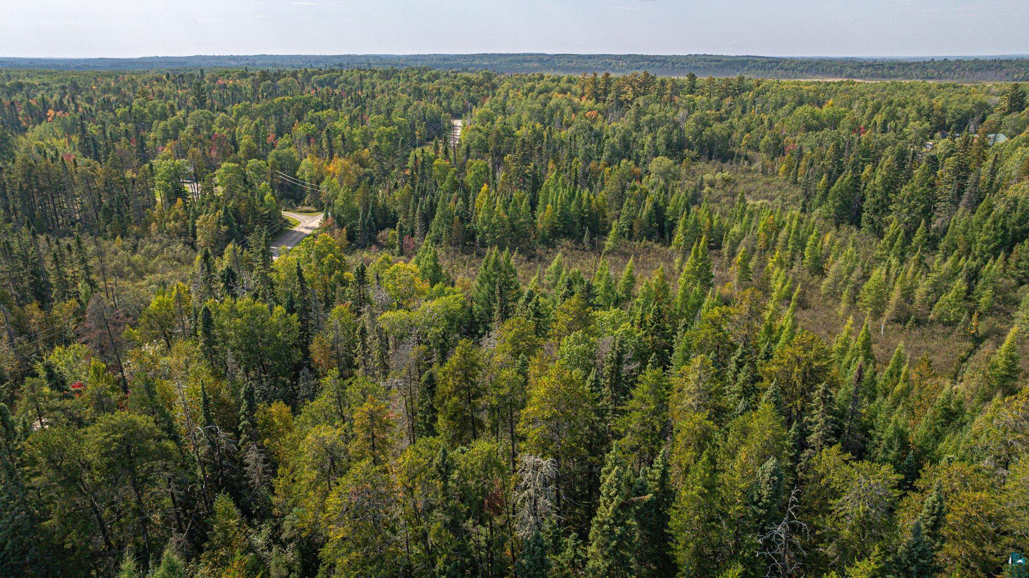 TBD Johnson Creek Dr, Ely, MN 55731-1635 Listing Photo  27