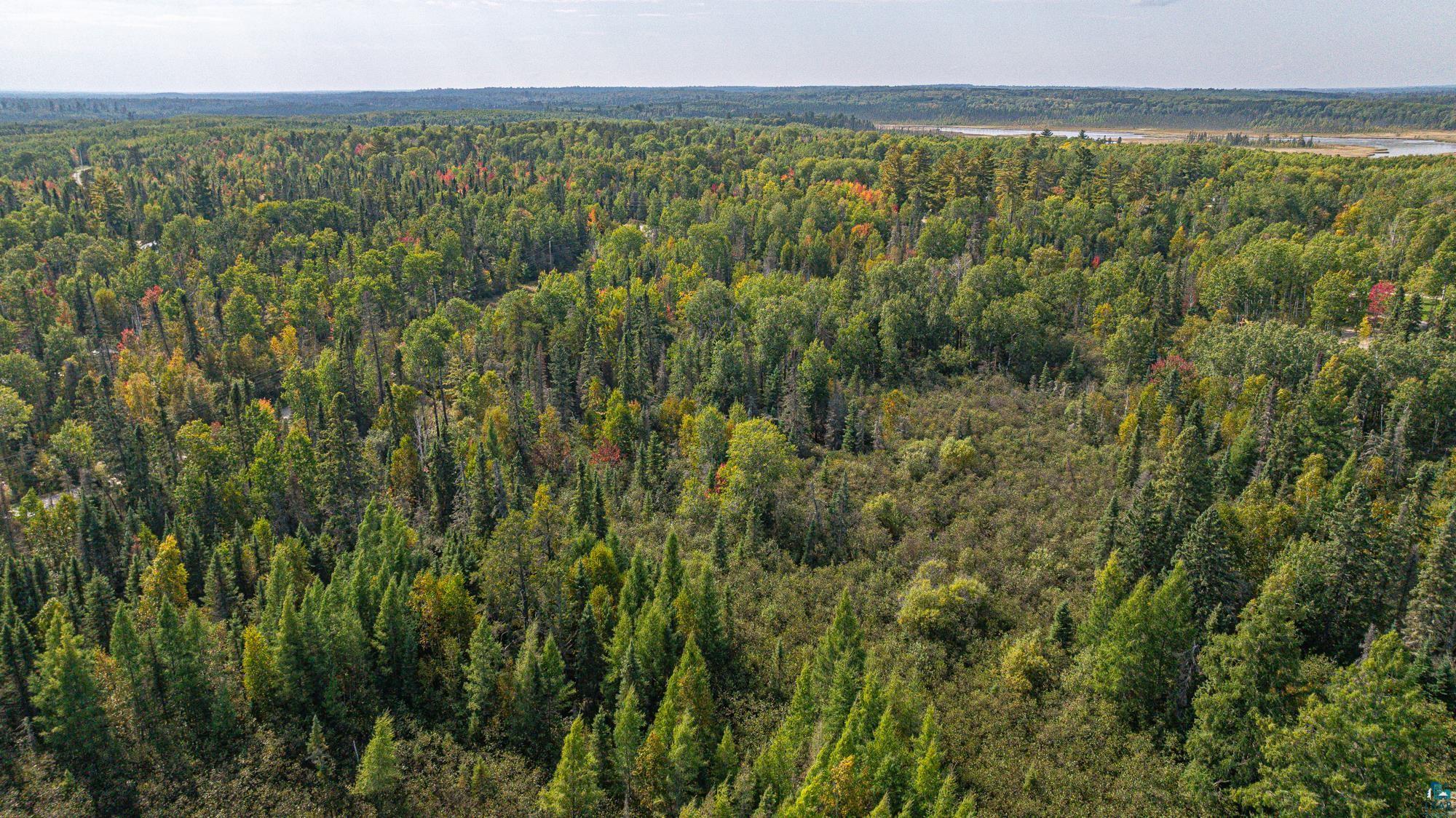 TBD Johnson Creek Dr, Ely, MN 55731-1635 Listing Photo  28