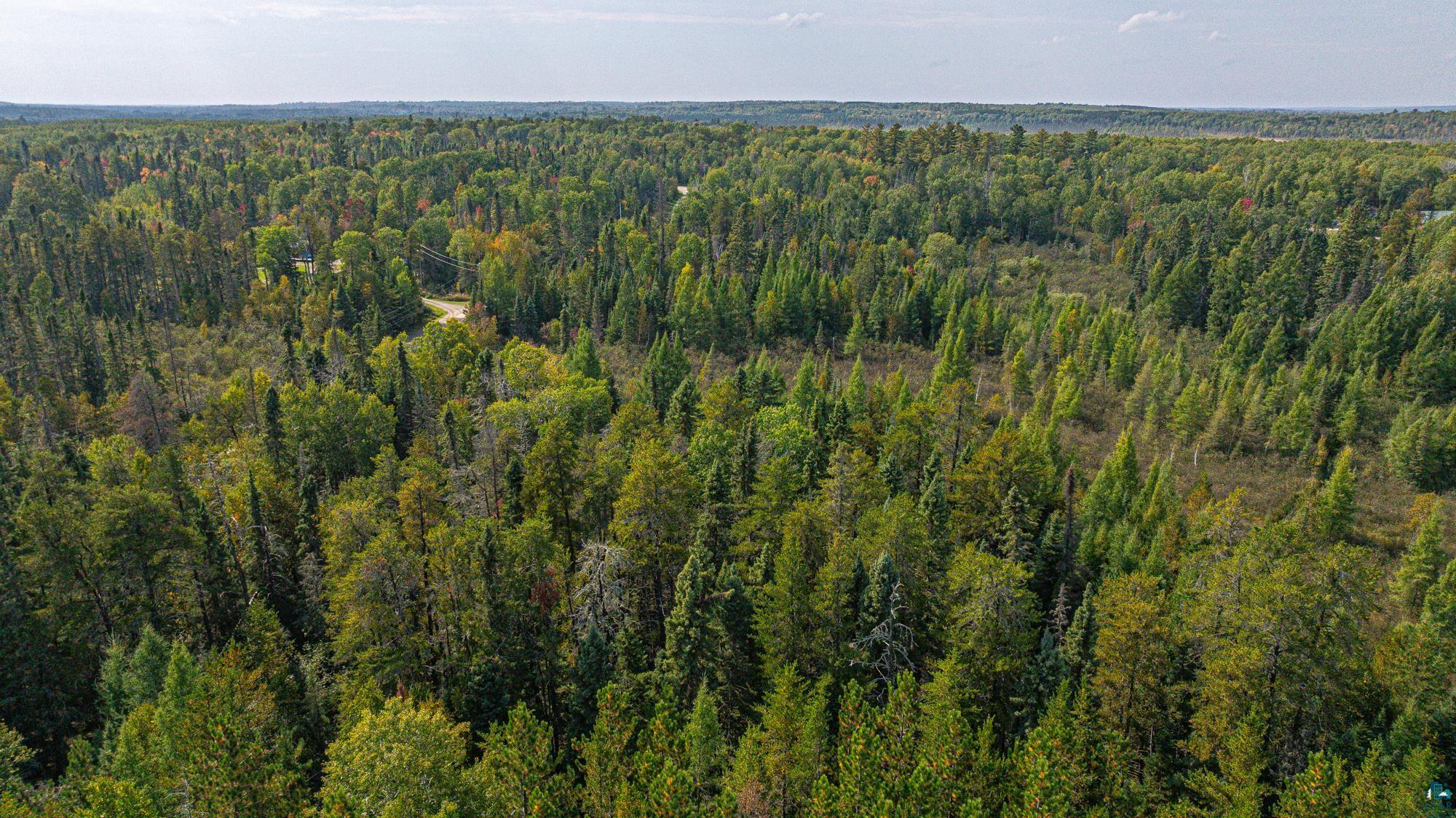 TBD Johnson Creek Dr, Ely, MN 55731-1635 Listing Photo  7