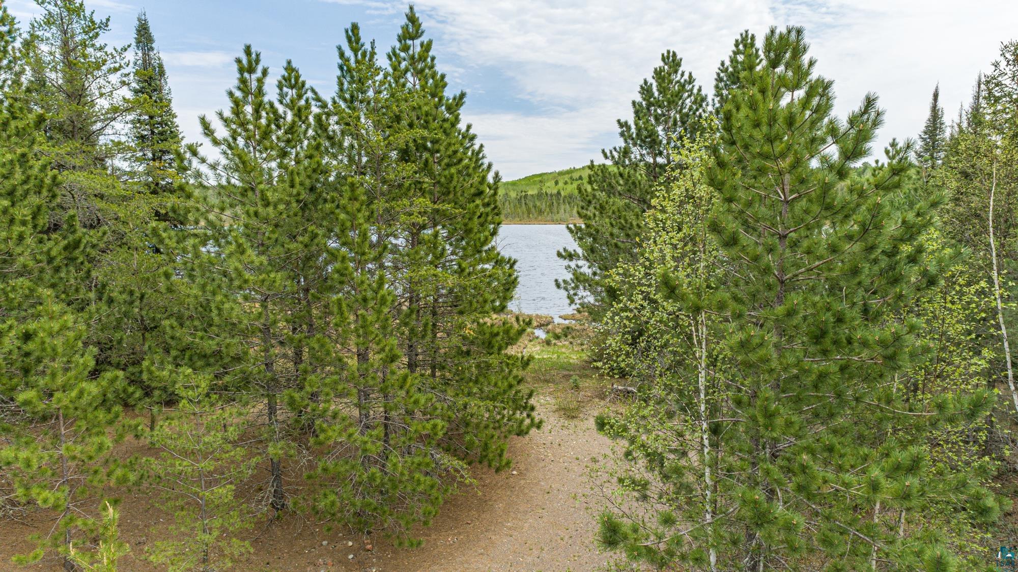 10350 Victor Lake Rd, Isabella, MN 55607 Listing Photo  18