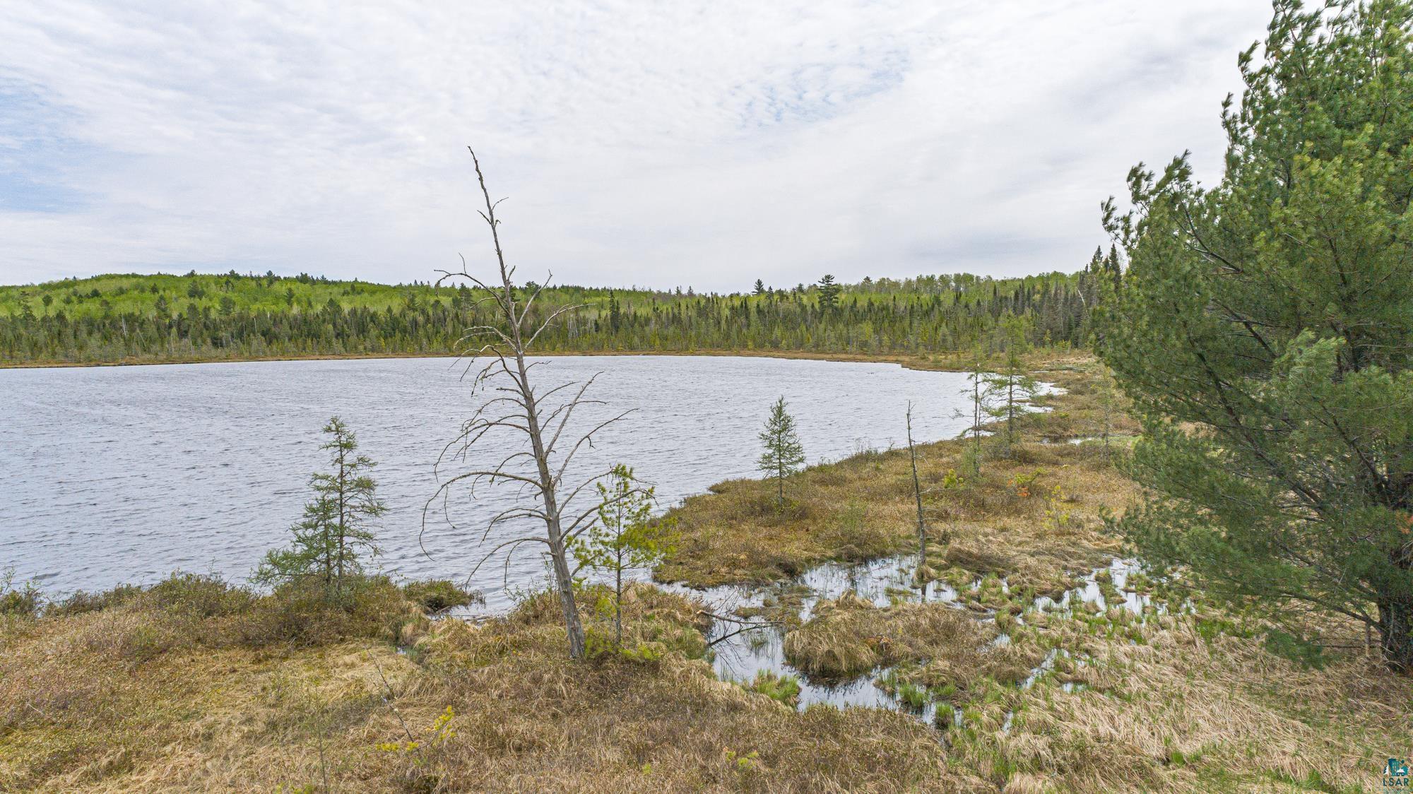 10350 Victor Lake Rd, Isabella, MN 55607 Listing Photo  28