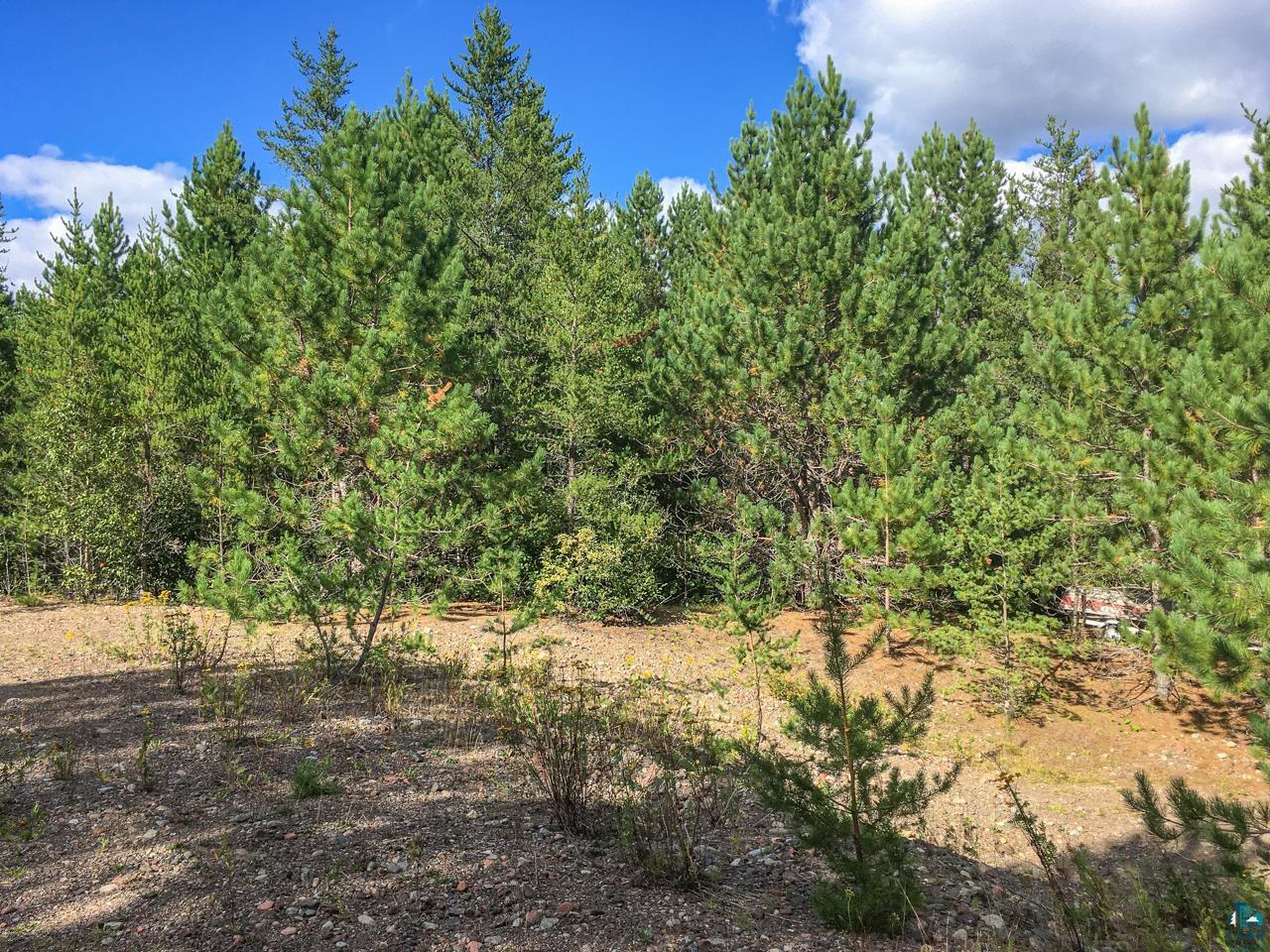 10350 Victor Lake Rd, Isabella, MN 55607 Listing Photo  30