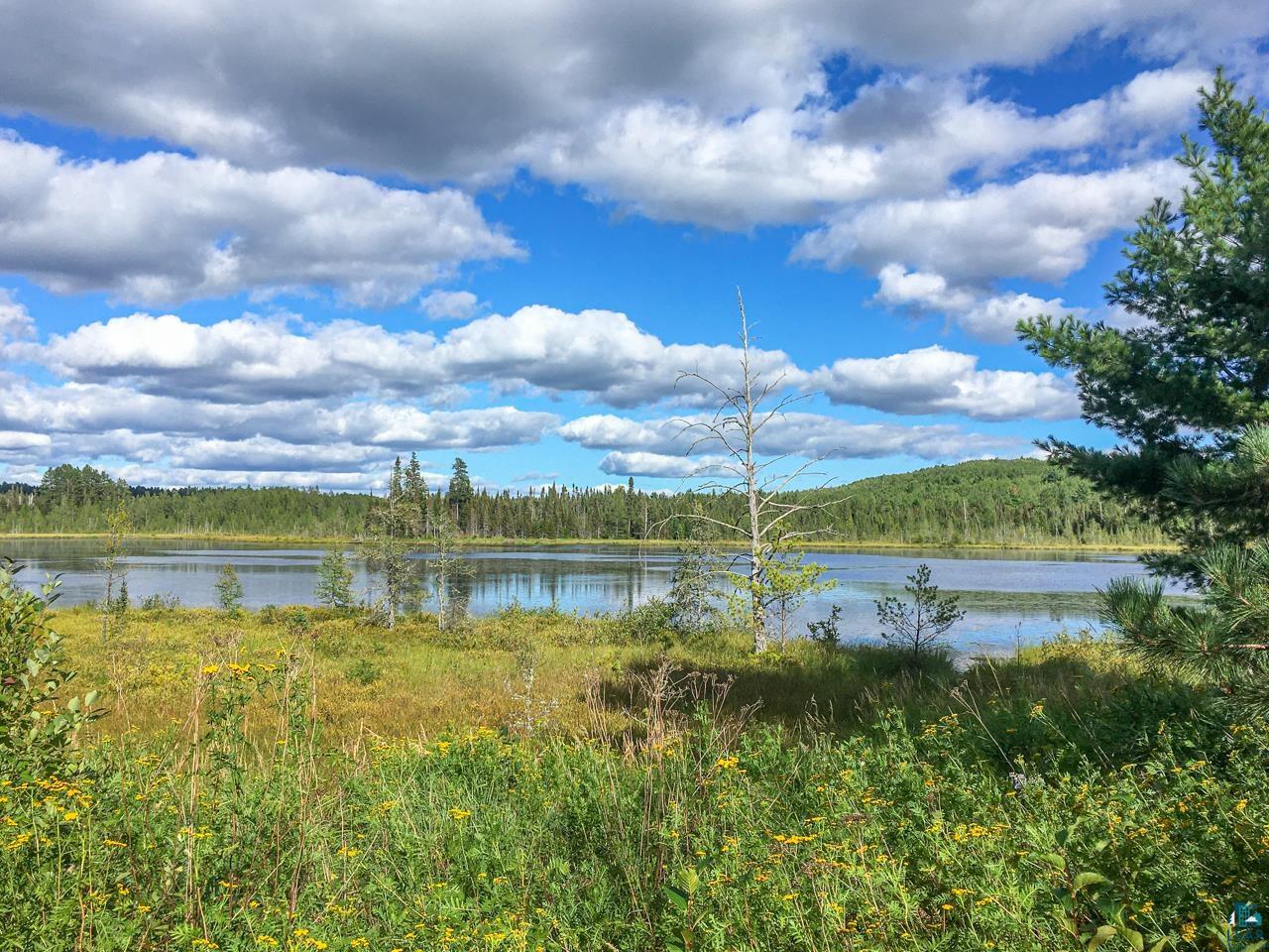 10350 Victor Lake Rd, Isabella, MN 55607 Listing Photo  32