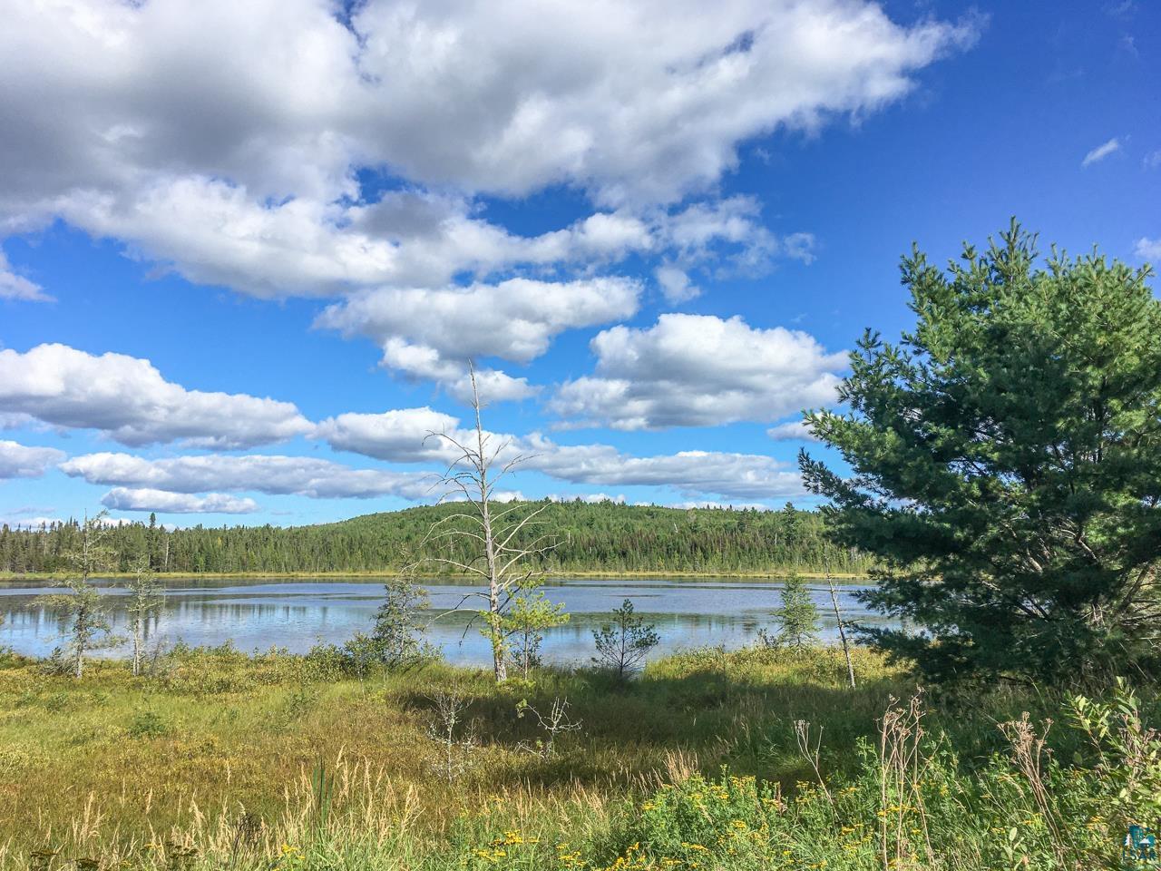 10350 Victor Lake Rd, Isabella, MN 55607 Listing Photo  33