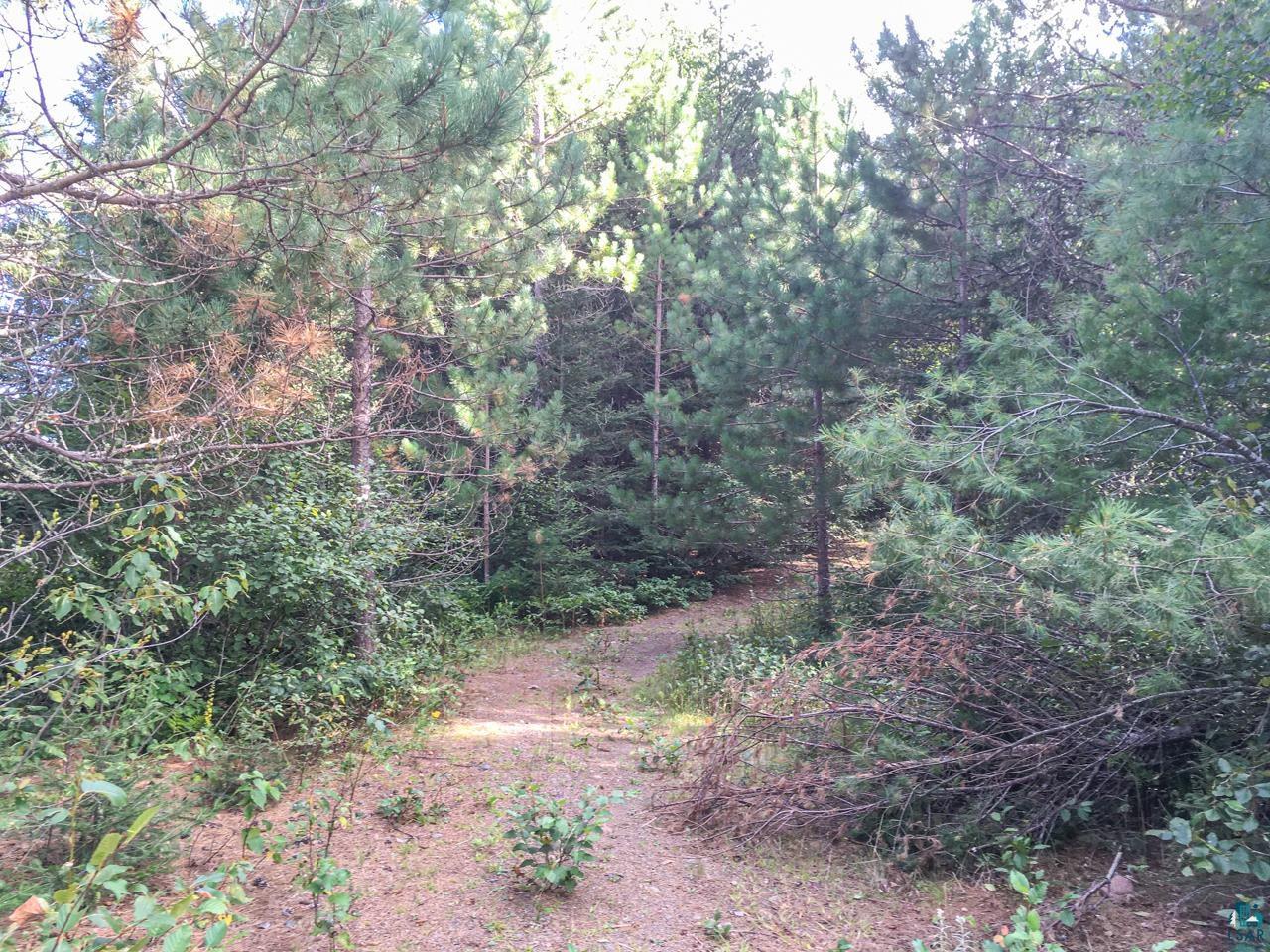 10350 Victor Lake Rd, Isabella, MN 55607 Listing Photo  36